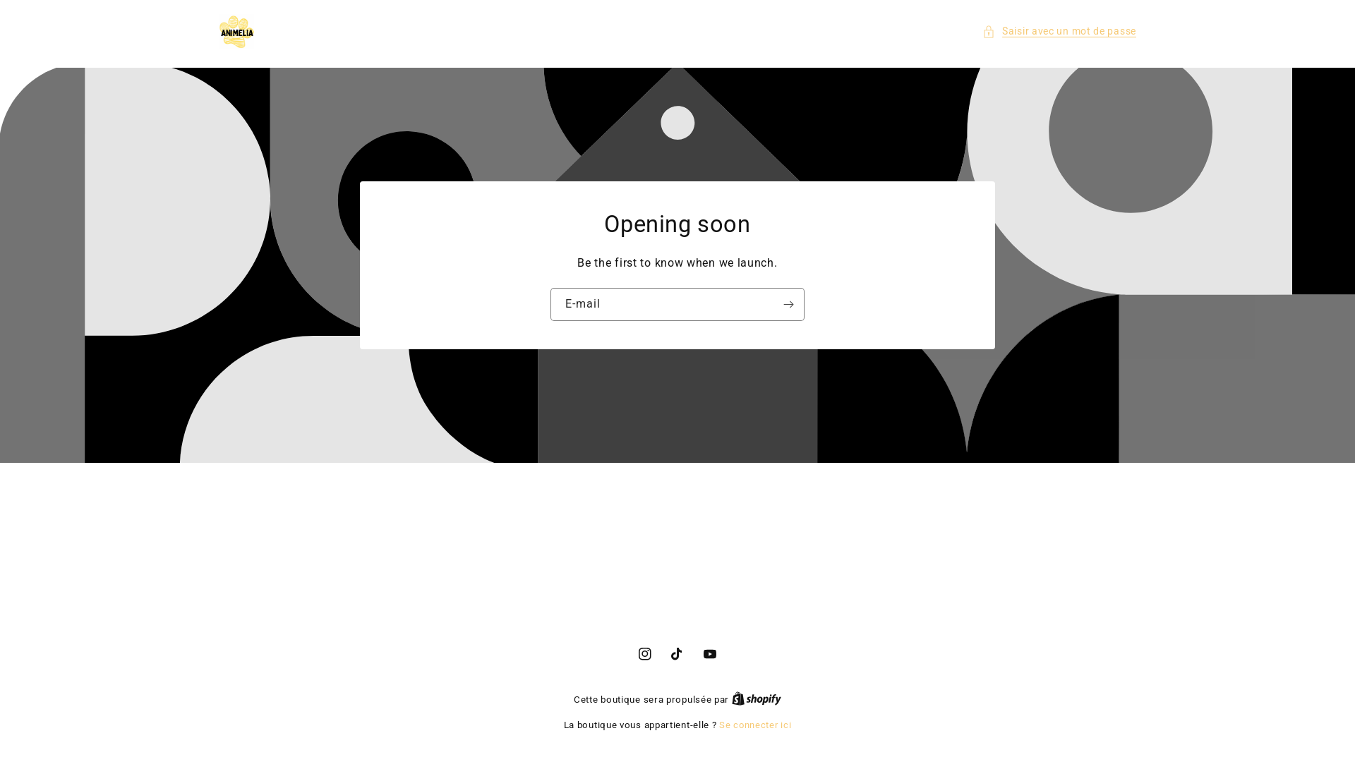 website screenshot of https://animelia.fr/