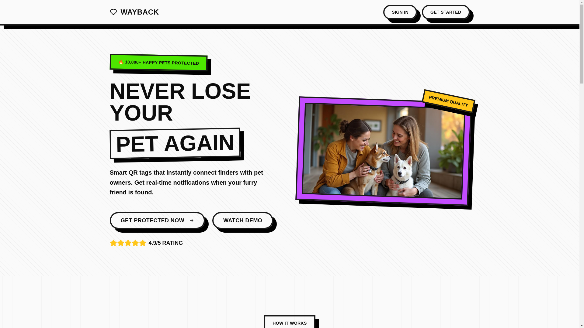 website screenshot of https://wayback.pet/