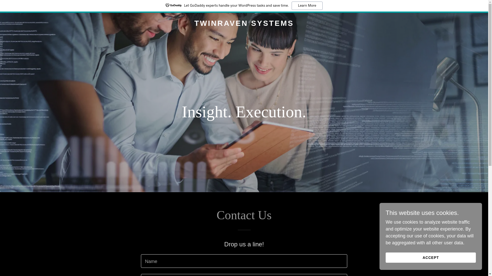 website screenshot of https://twinravensystems.com/