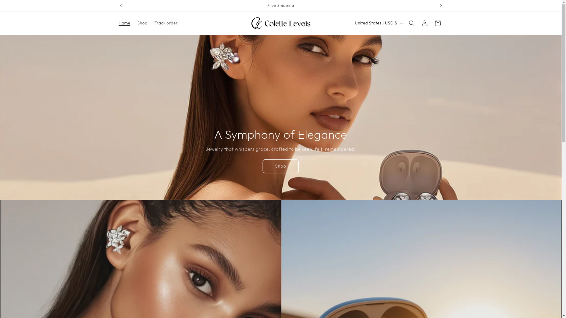 website screenshot of https://colettelevois.com/