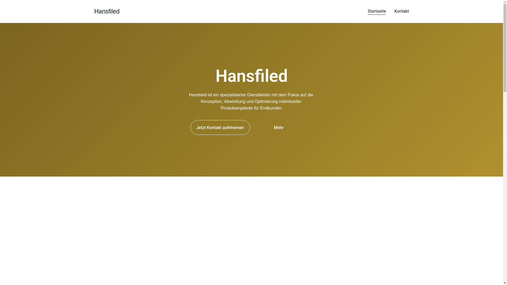 website screenshot of https://hansfiled.eu/
