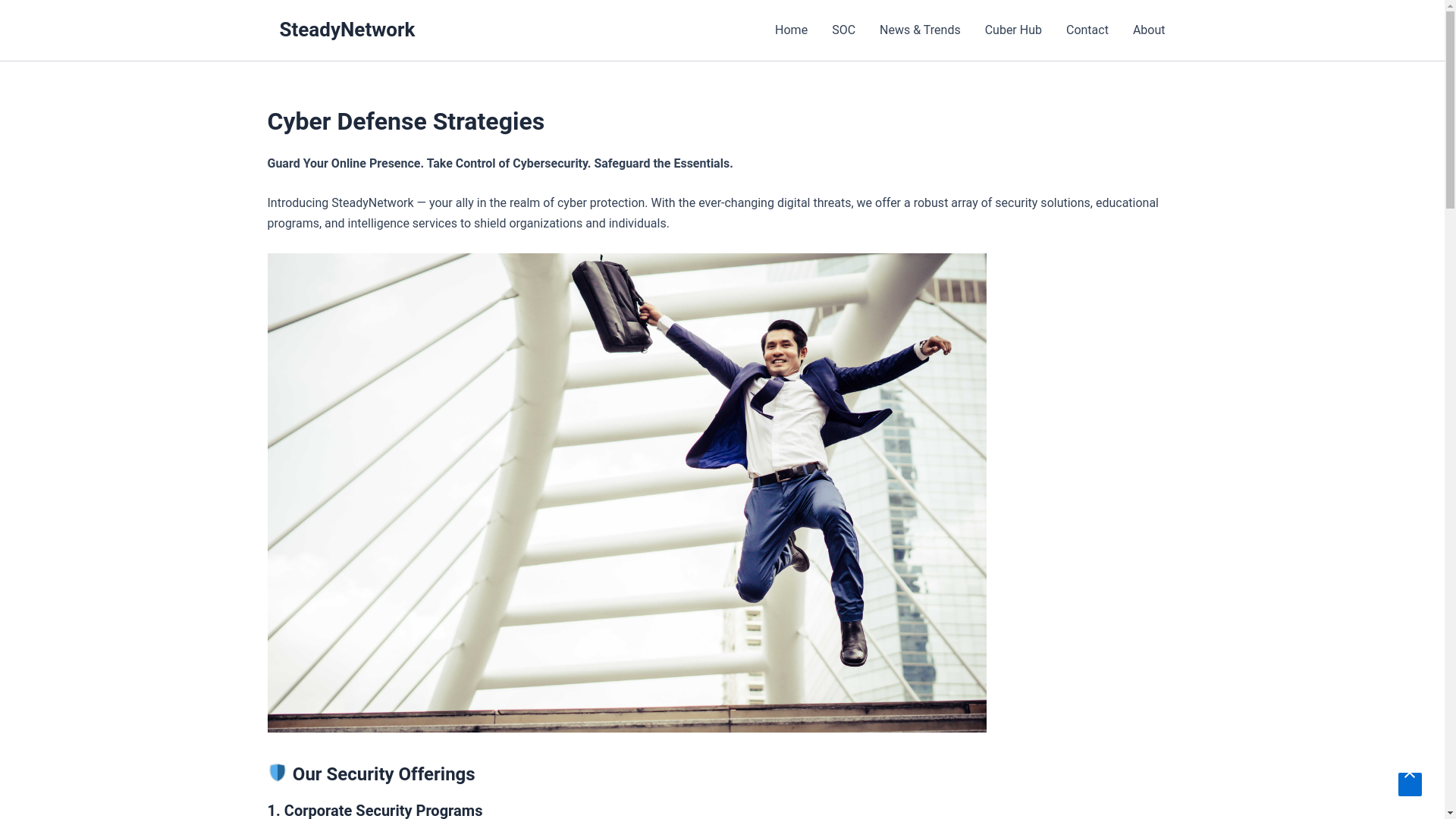 website screenshot of https://steadynetwork.site/