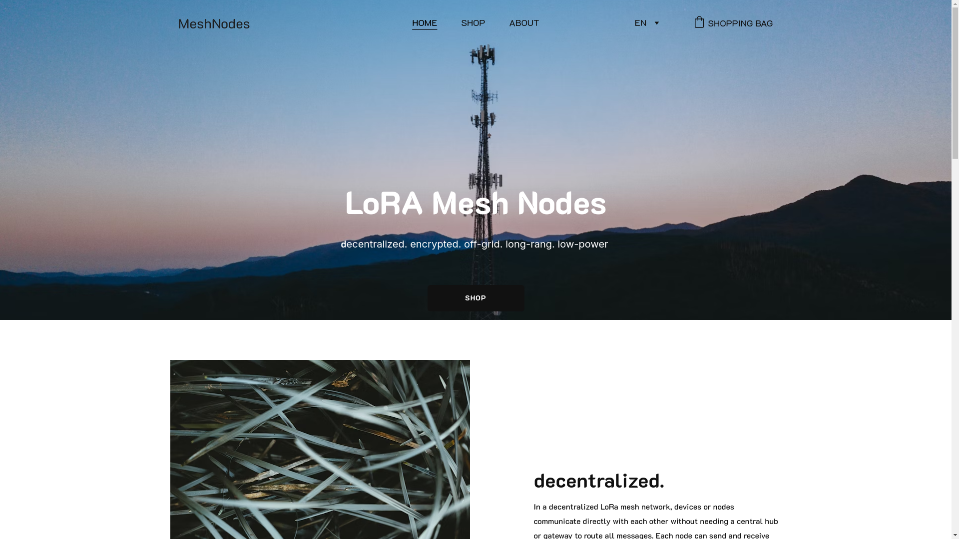 website screenshot of https://meshnodes.ch/
