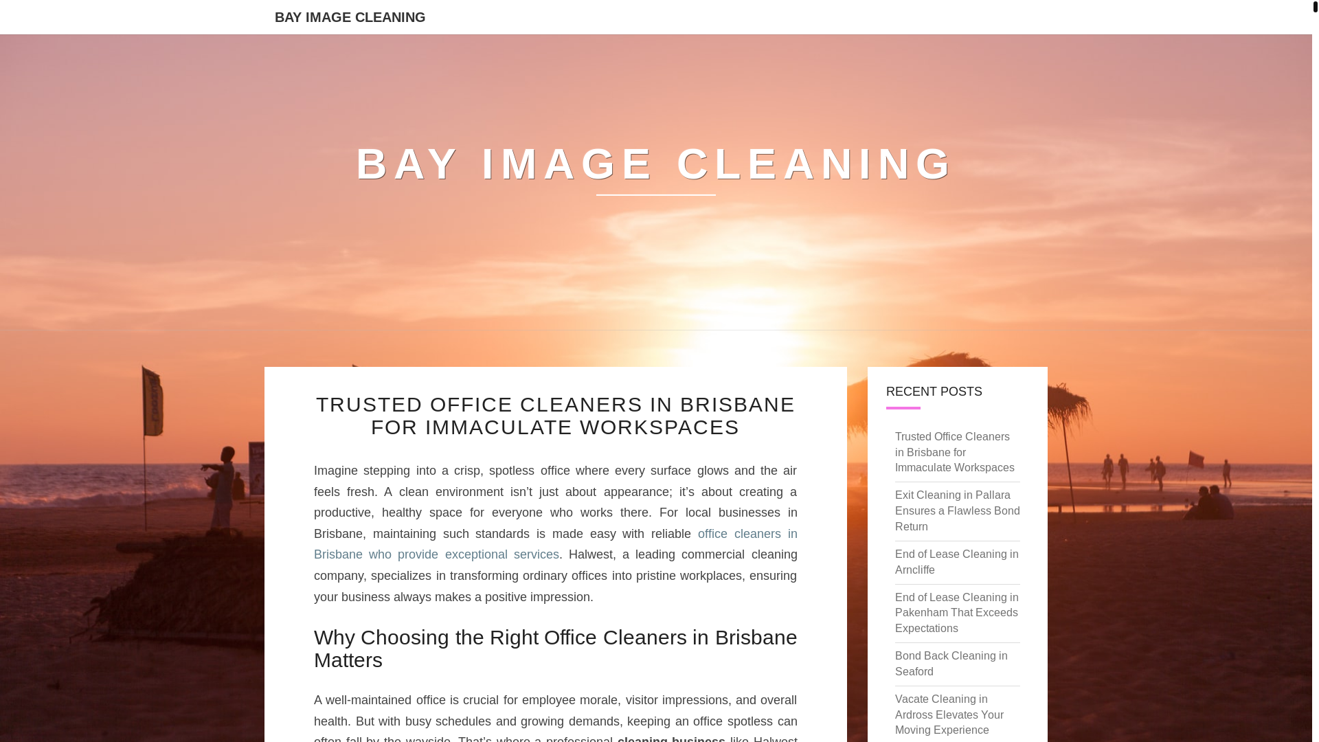 website screenshot of https://bayimagecleaning.pages.dev/