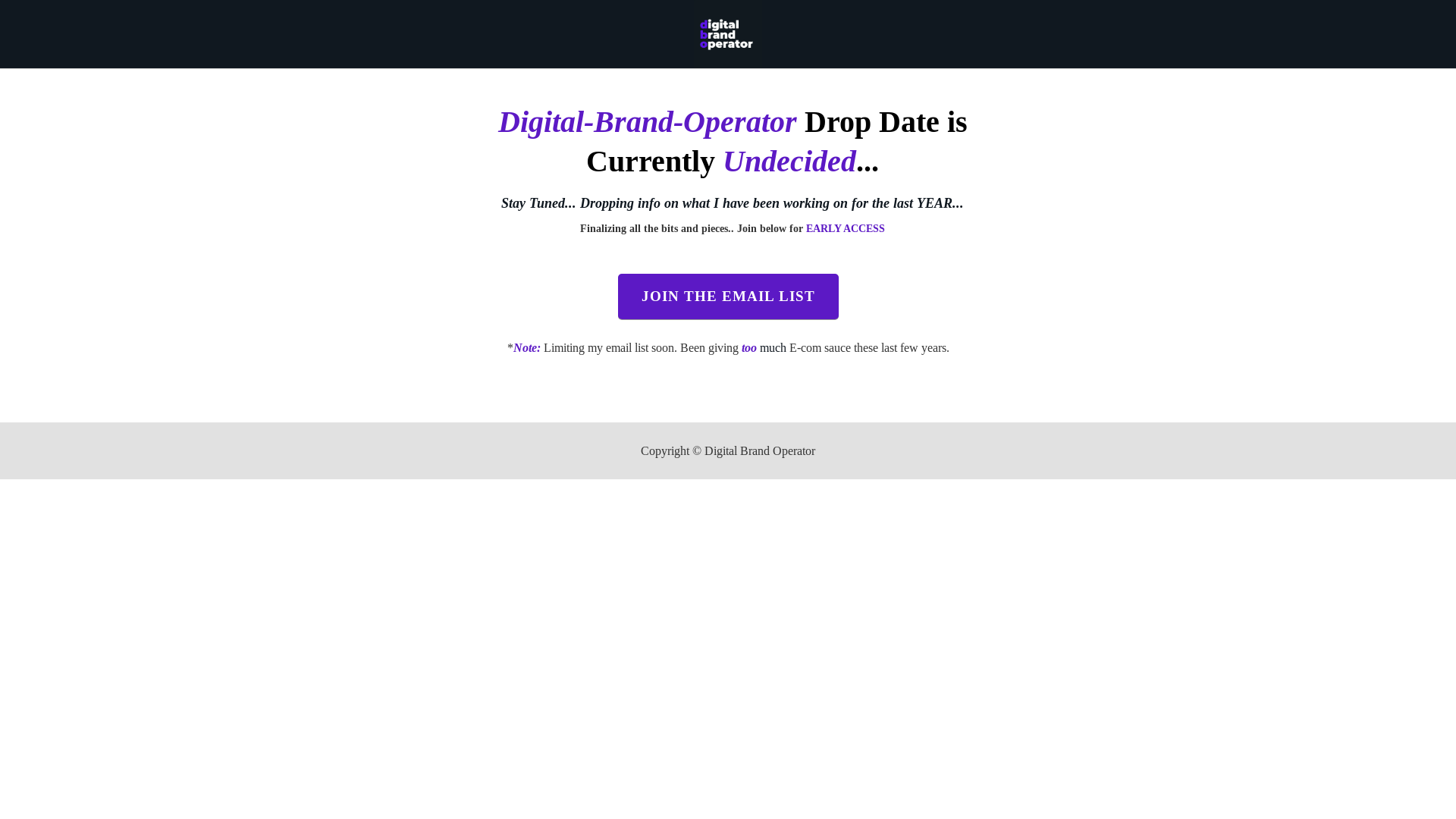 website screenshot of https://digitalbrandoperator.com/
