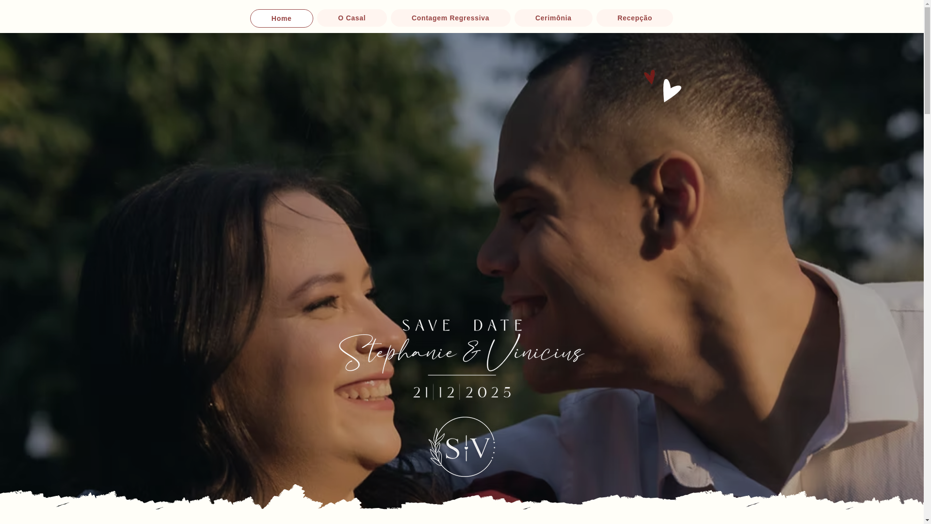 website screenshot of https://steevini.com/