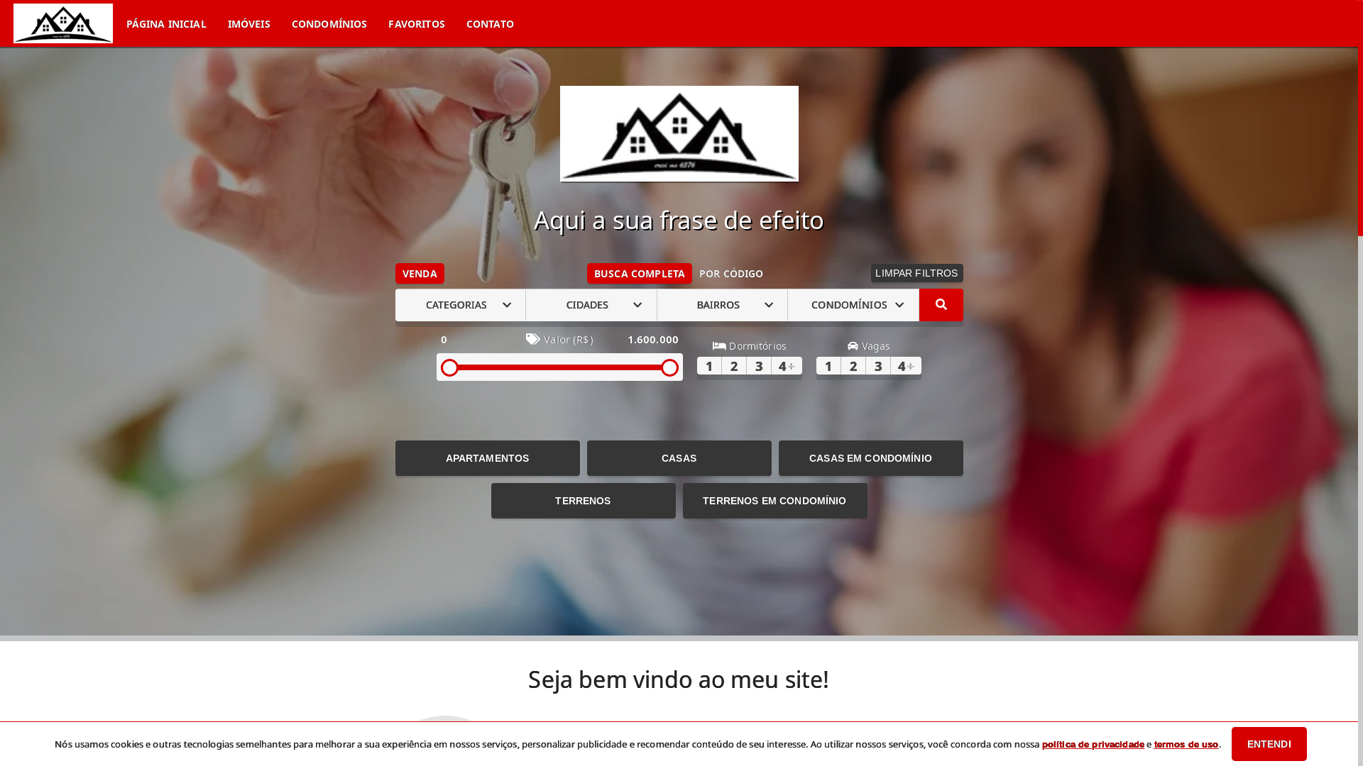 website screenshot of https://edvarriquelme.com.br/