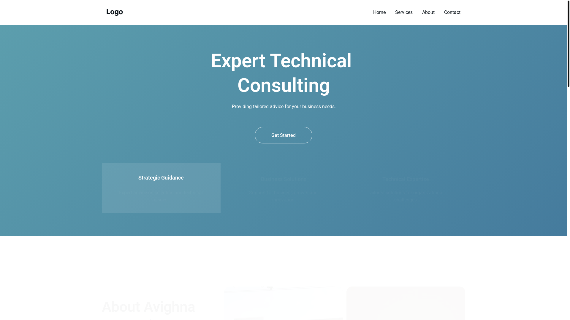 website screenshot of https://avighnaenterprisesinc.com/