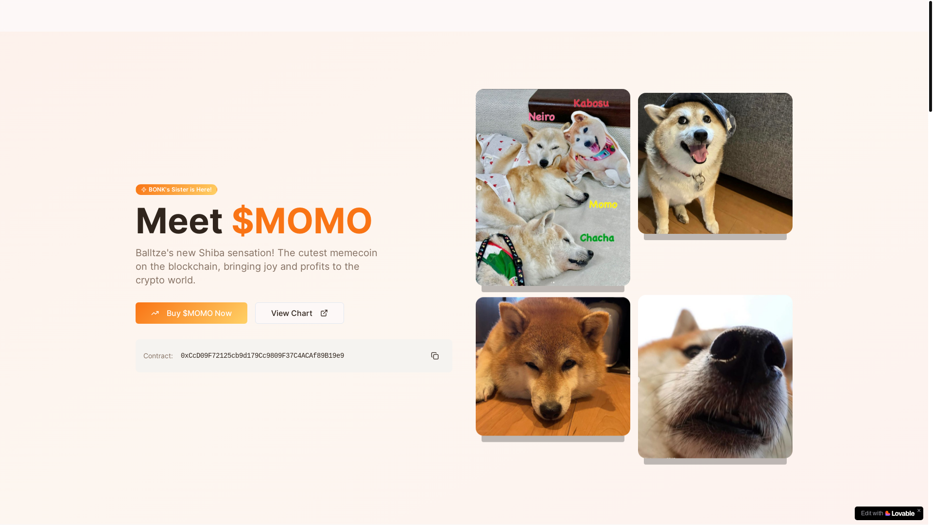 website screenshot of https://momocto.space/