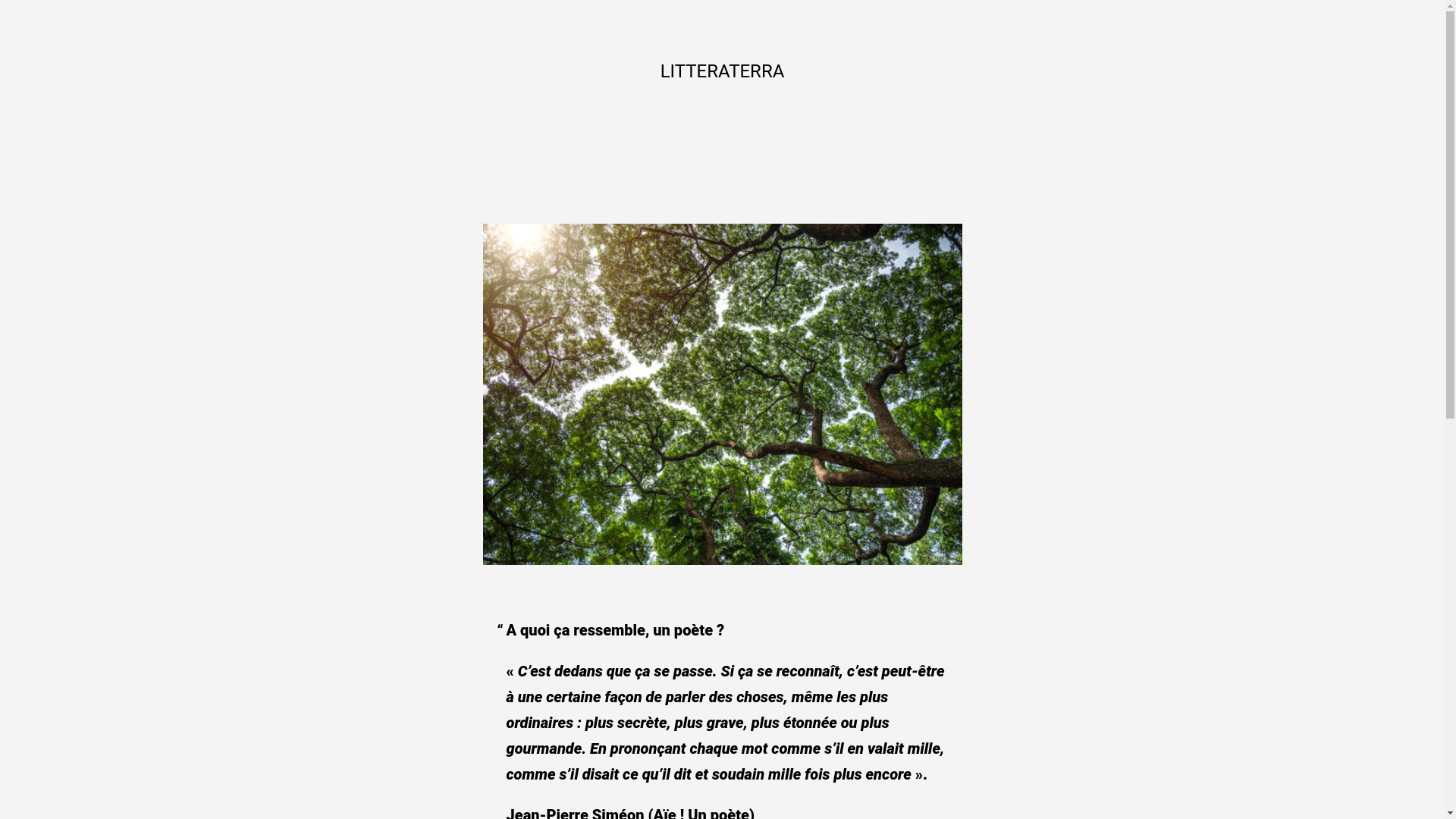 website screenshot of https://litteraterra.fr/