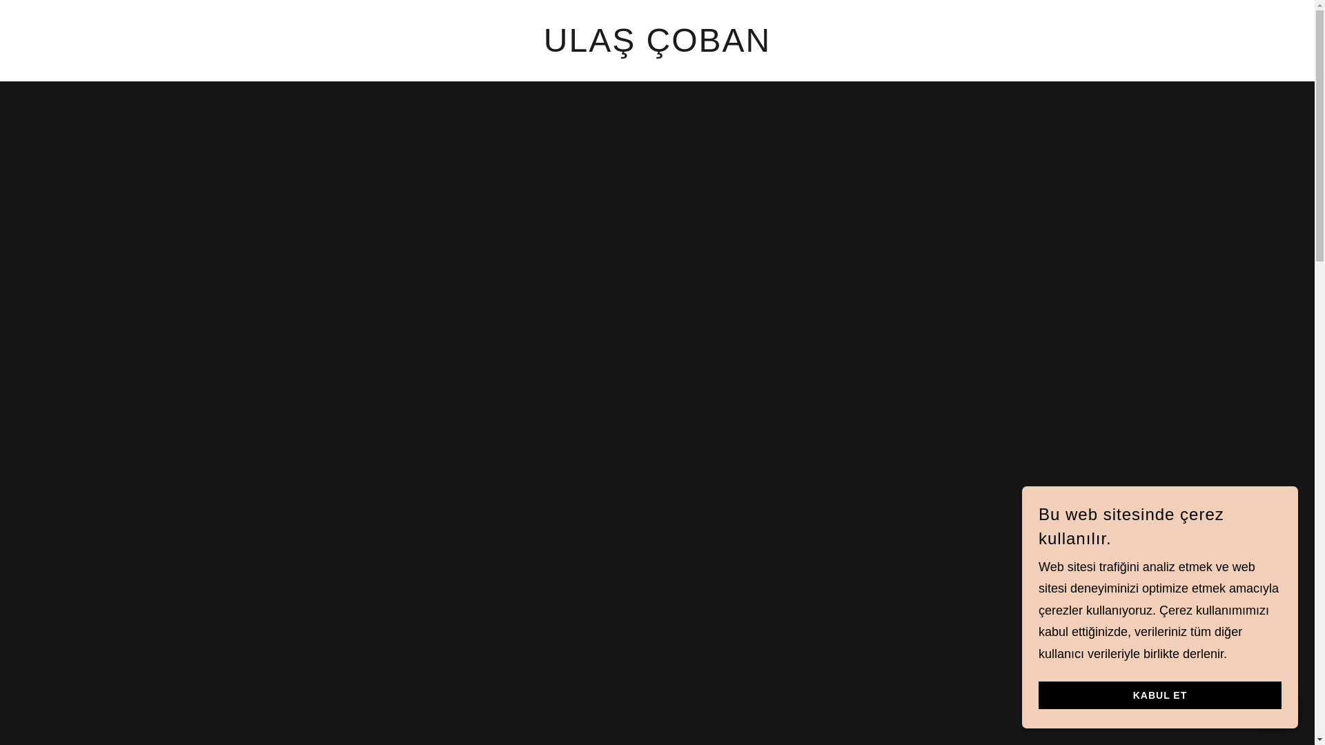 website screenshot of https://ulascoban.com/