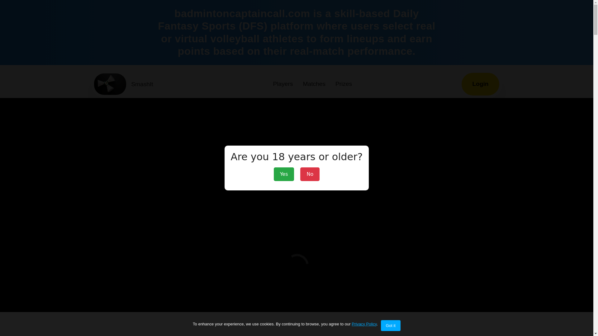 website screenshot of https://badmintoncaptaincall.com/
