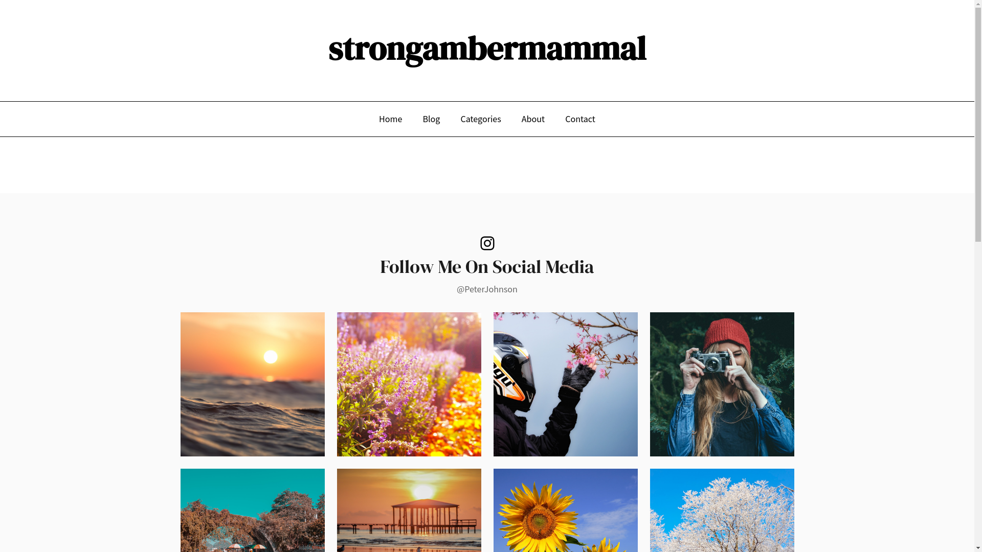 website screenshot of https://strongambermammal.com/