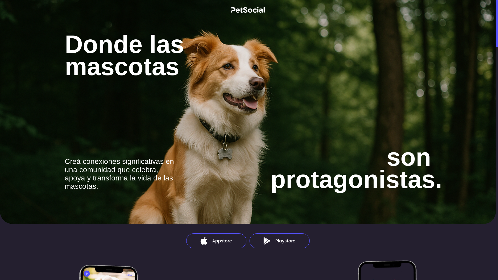 website screenshot of https://petsocial-marketing-site.pages.dev/