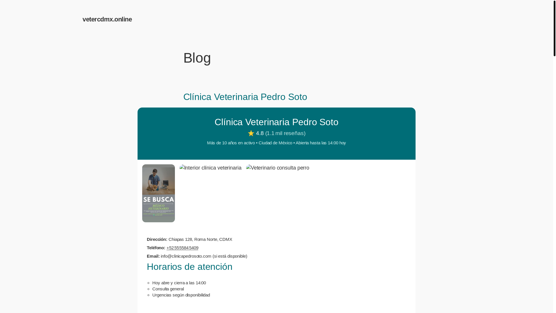 website screenshot of https://vetercdmx.online/