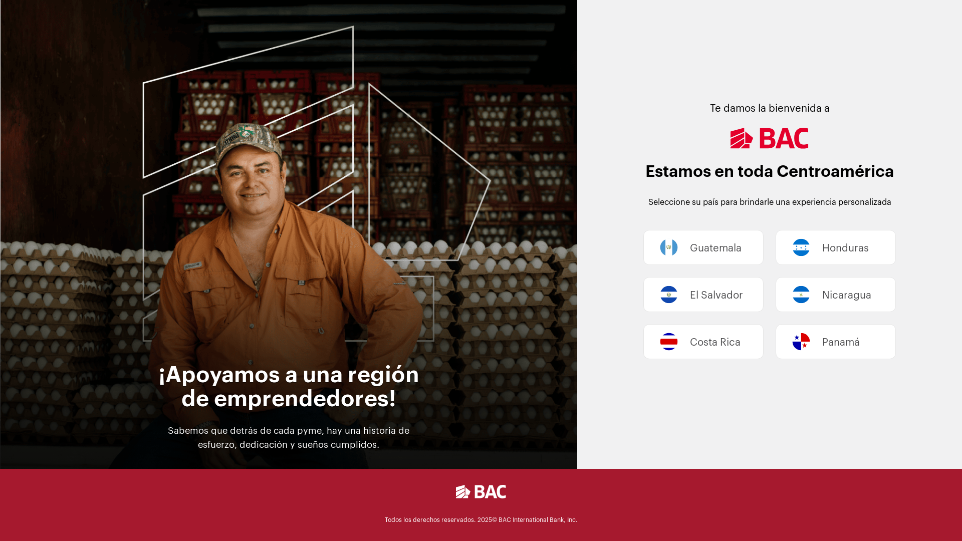 website screenshot of https://baccredomaices.com/