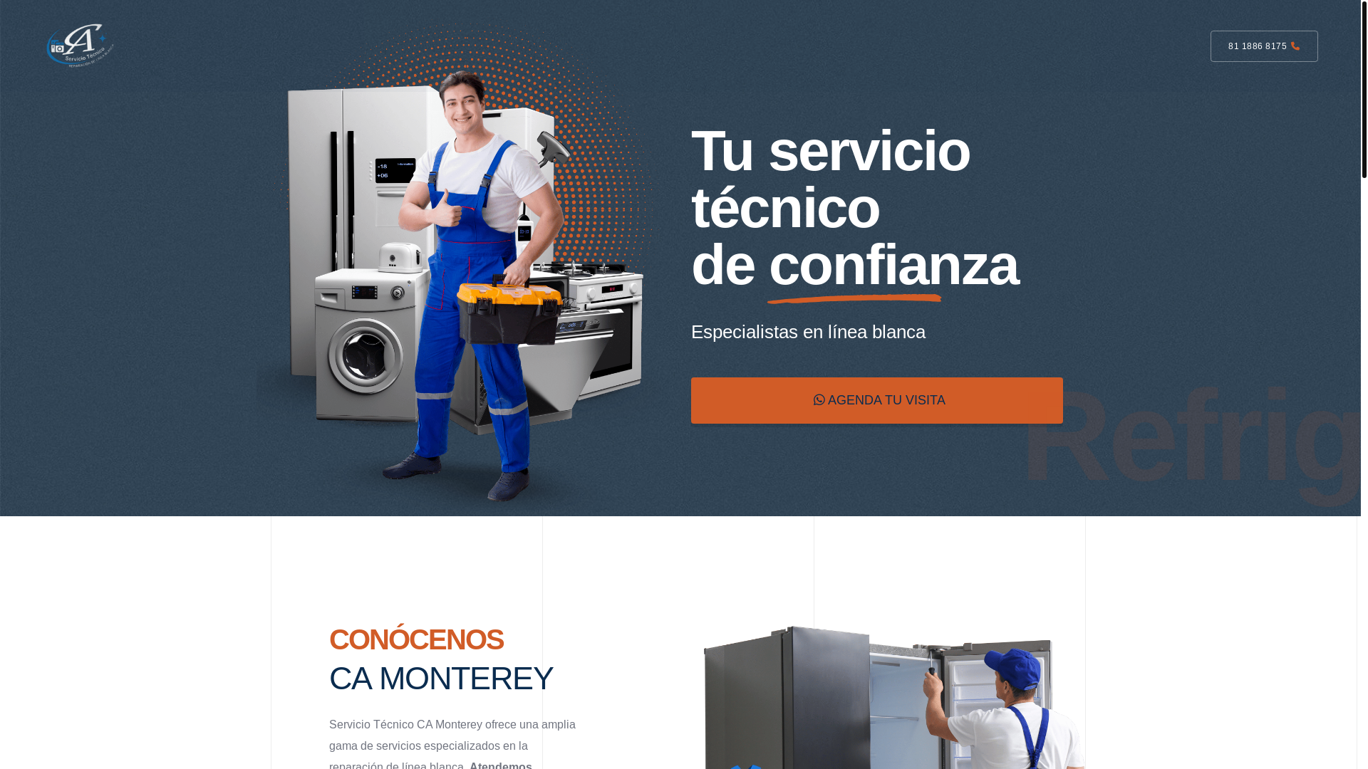 website screenshot of https://caserviciotecnico.com/