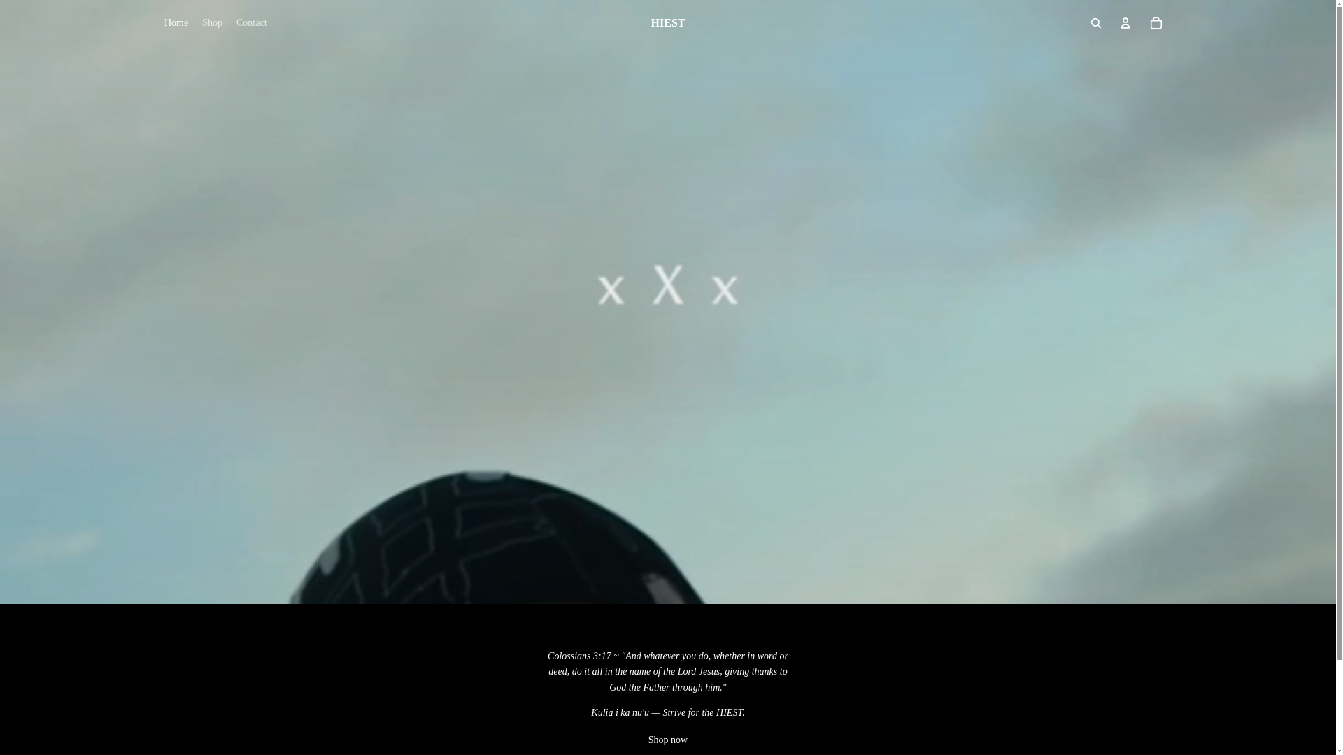 website screenshot of https://hiestablishment.com/