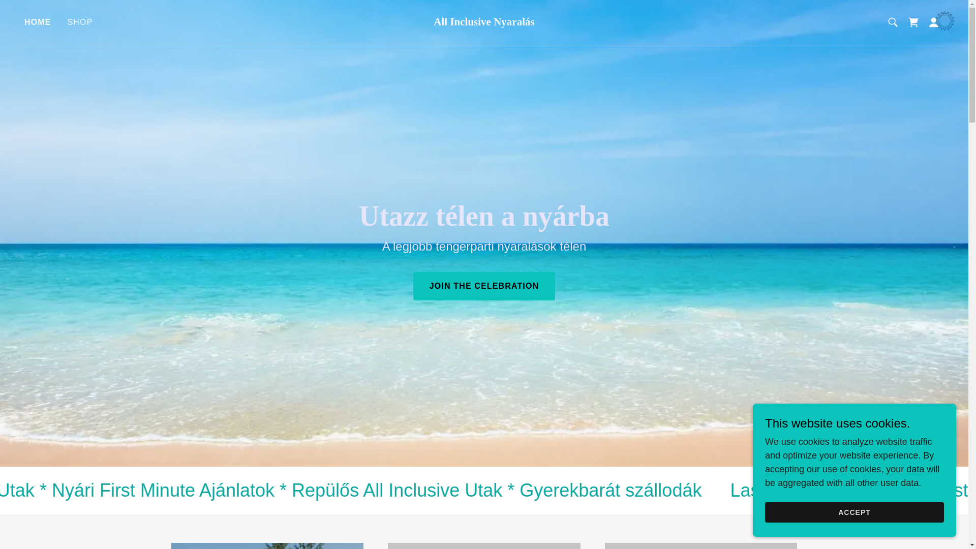 website screenshot of https://allinclusivenyaralas.com/