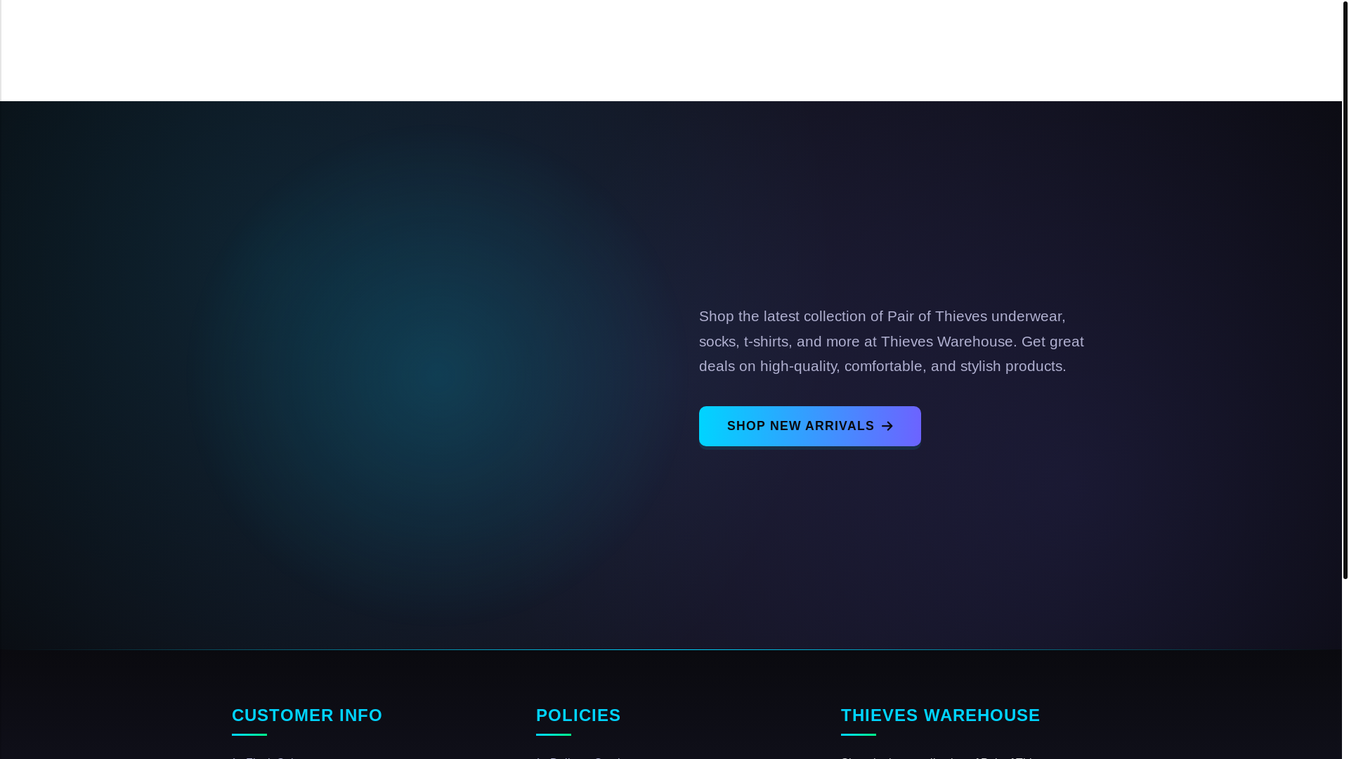 website screenshot of http://thieveswarehouse.shop/