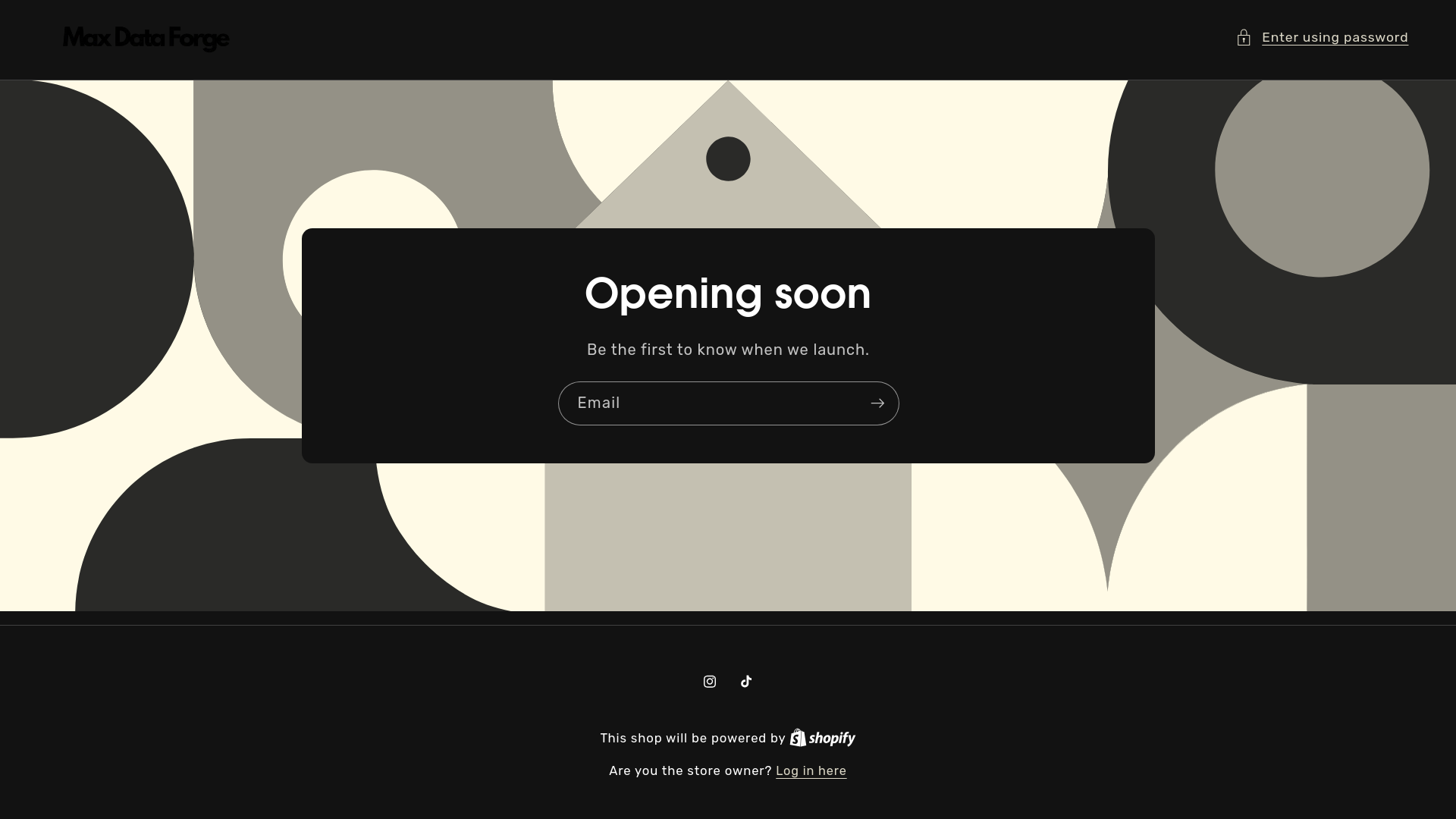 website screenshot of https://maxdataforge.com/