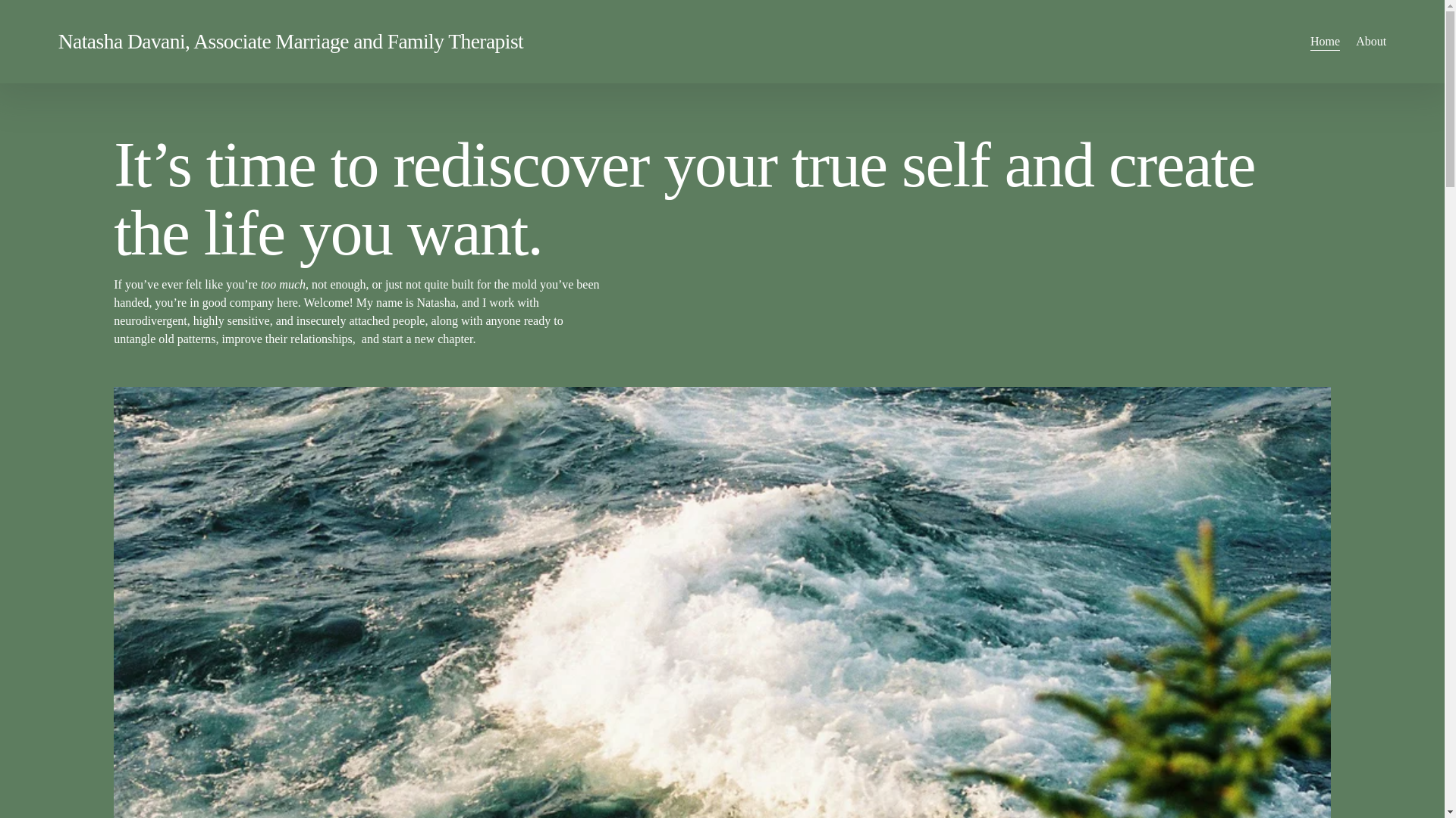 website screenshot of https://natashadavani.com/