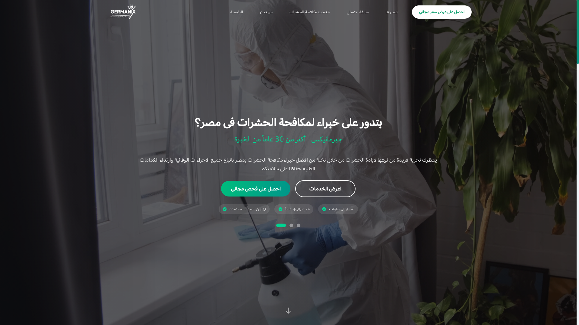 website screenshot of https://germanixeg.com/