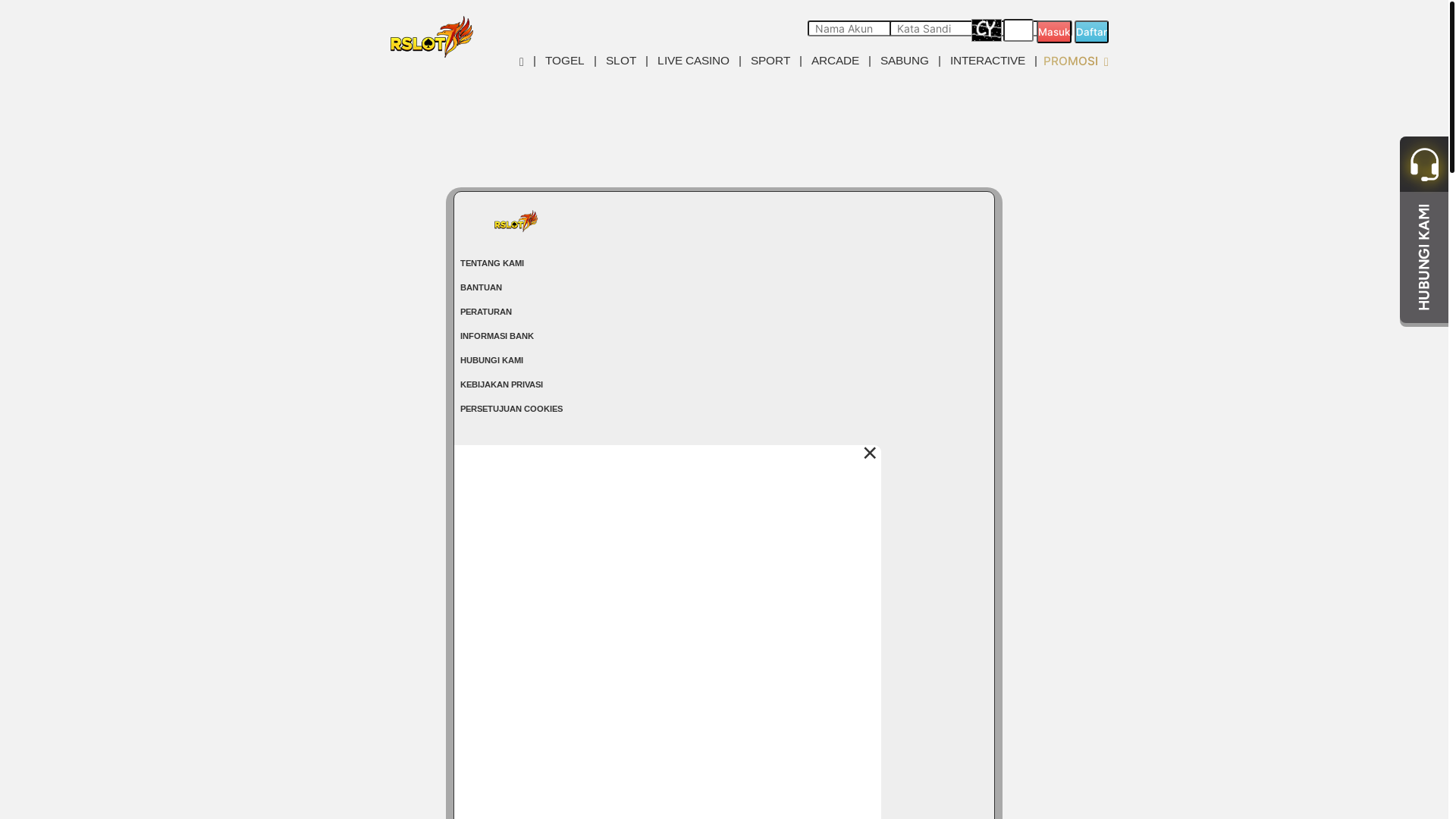 website screenshot of https://rs77riang.com/