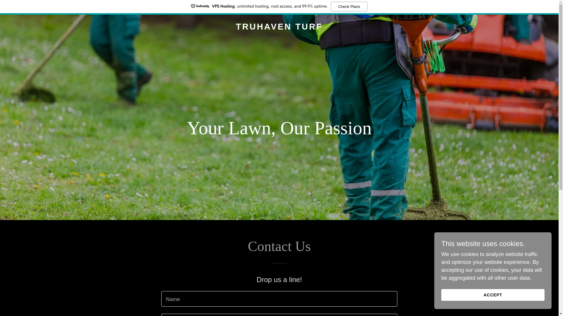 website screenshot of https://truhaventurf.com/