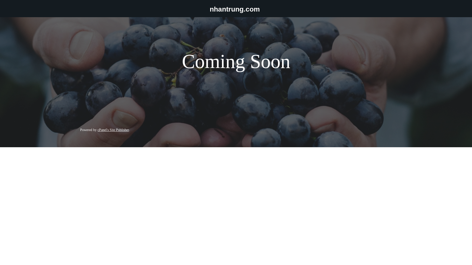 website screenshot of https://nhantrung.vn/