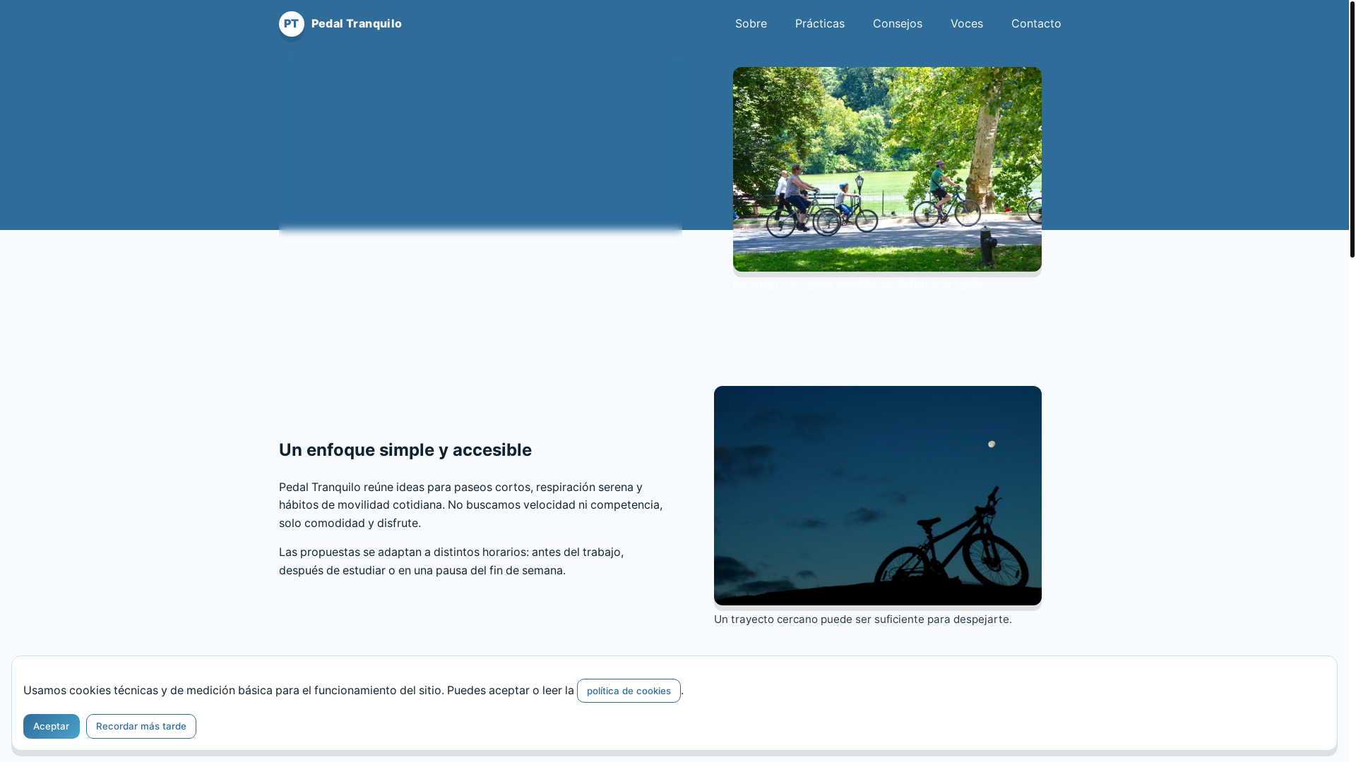 website screenshot of https://coacobesu.shop/