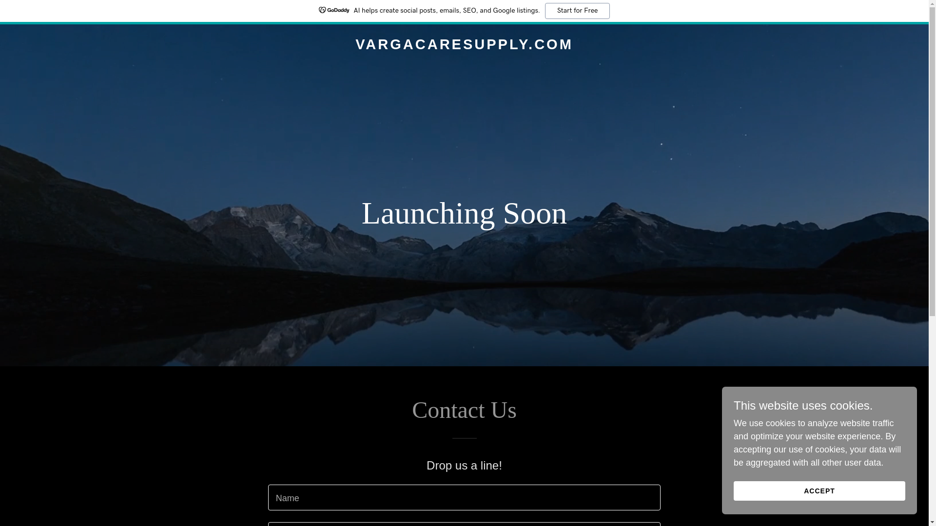 website screenshot of https://vargacaresupply.com/