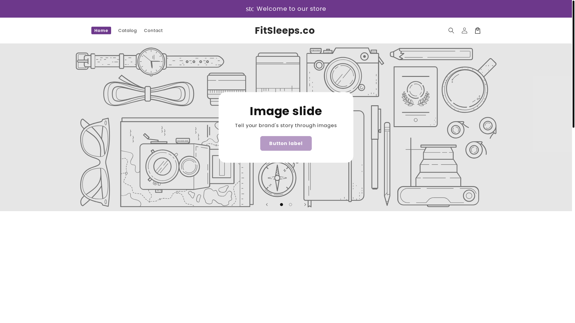 website screenshot of https://fitsleeps.co/
