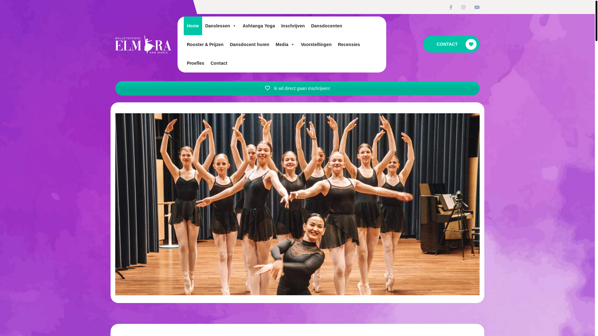 website screenshot of https://balletschoolelmiravanmaris.nl/