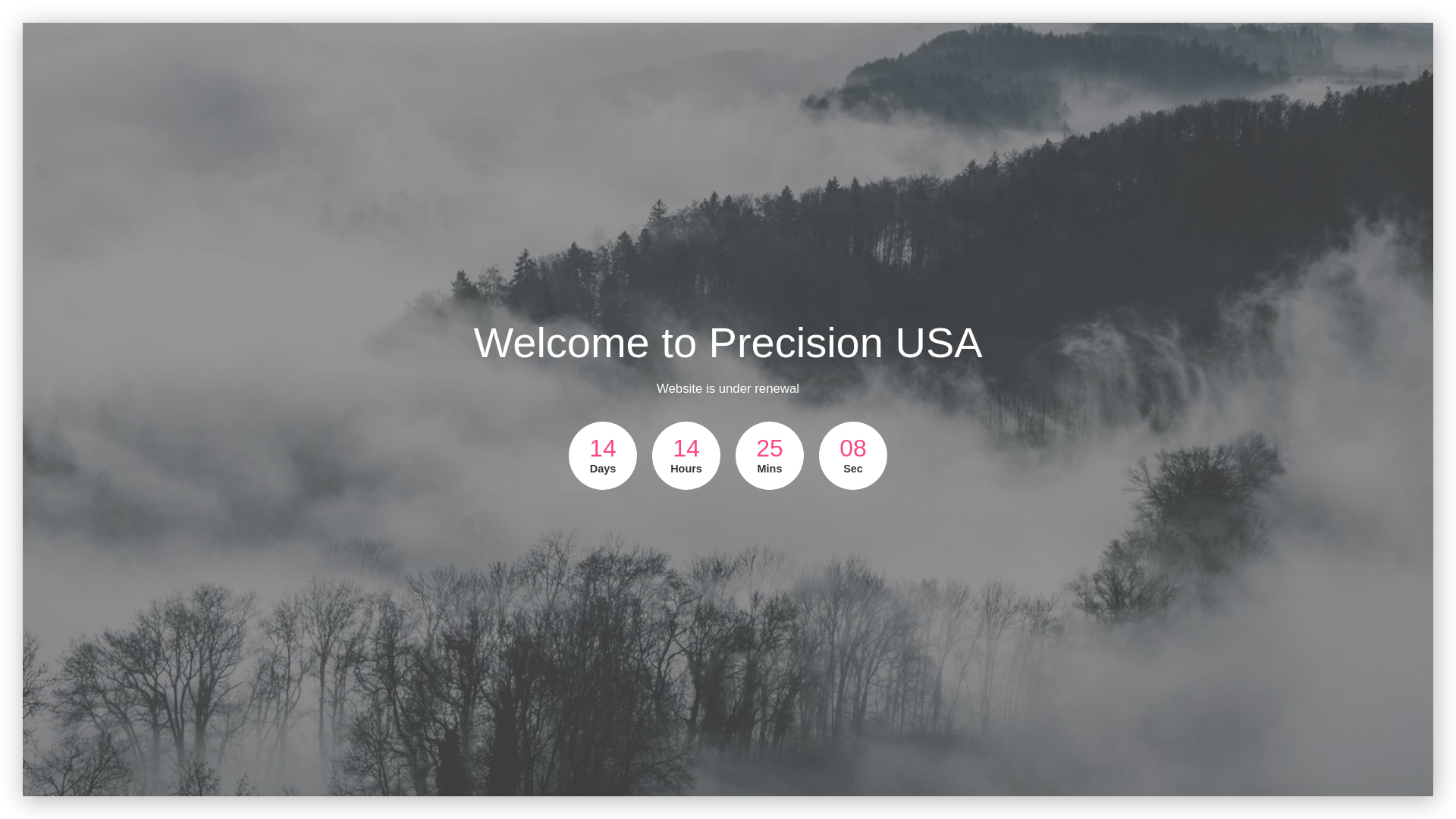 website screenshot of https://precision-usa.us/