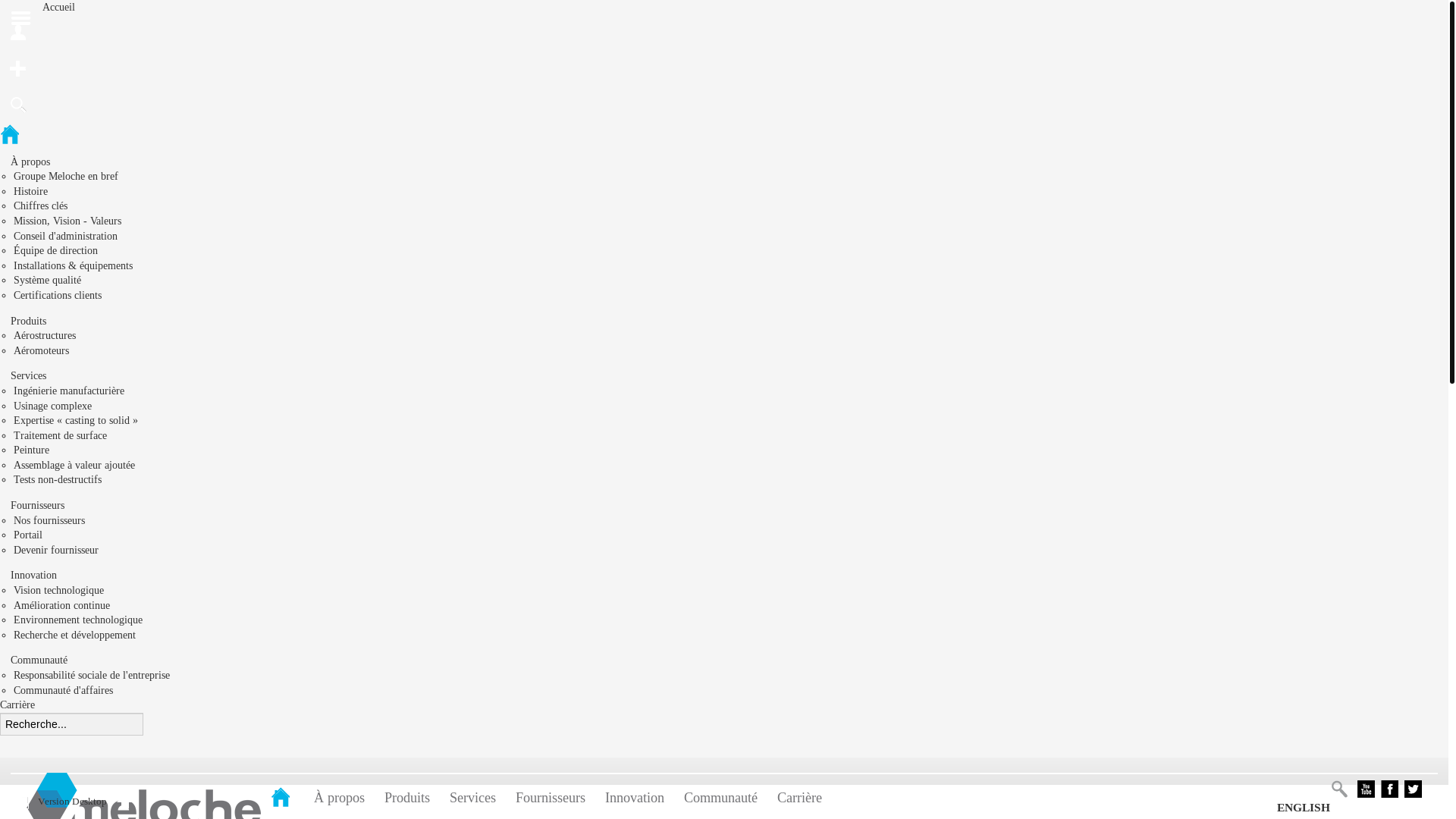 website screenshot of https://devmelocheinc.com/