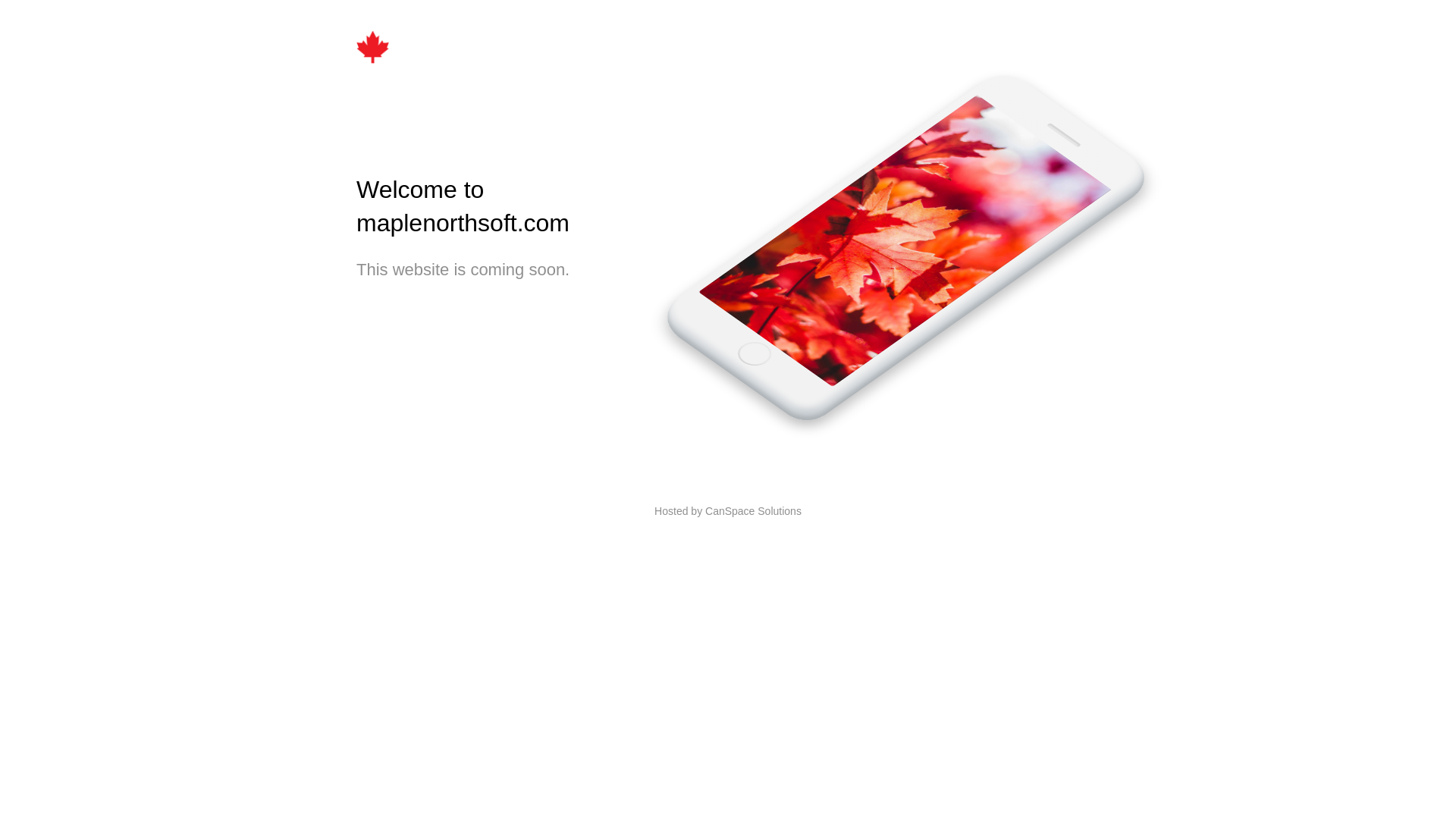 website screenshot of https://maplenorthsoft.com/