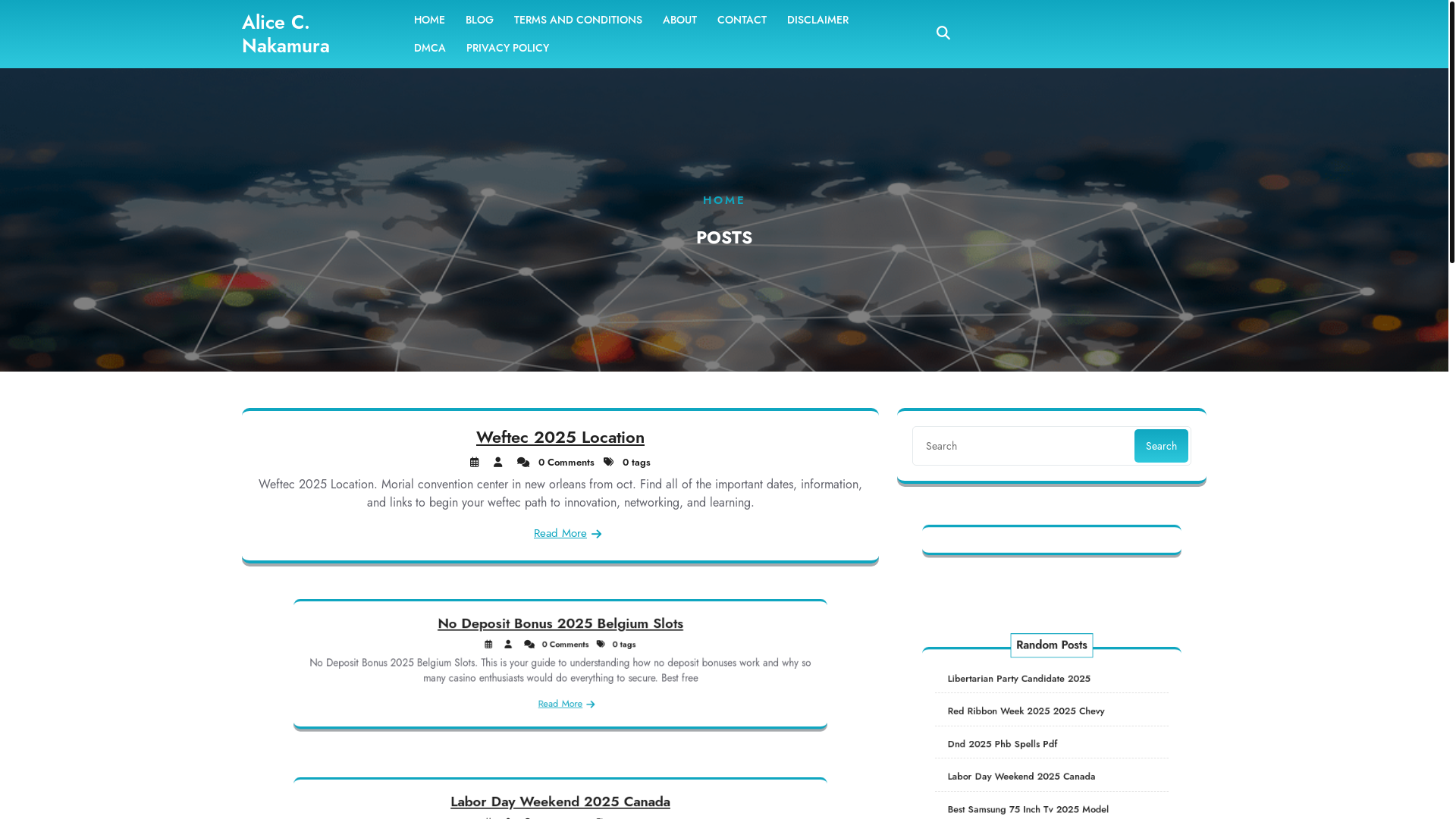 website screenshot of https://alicecnakamura.pages.dev/