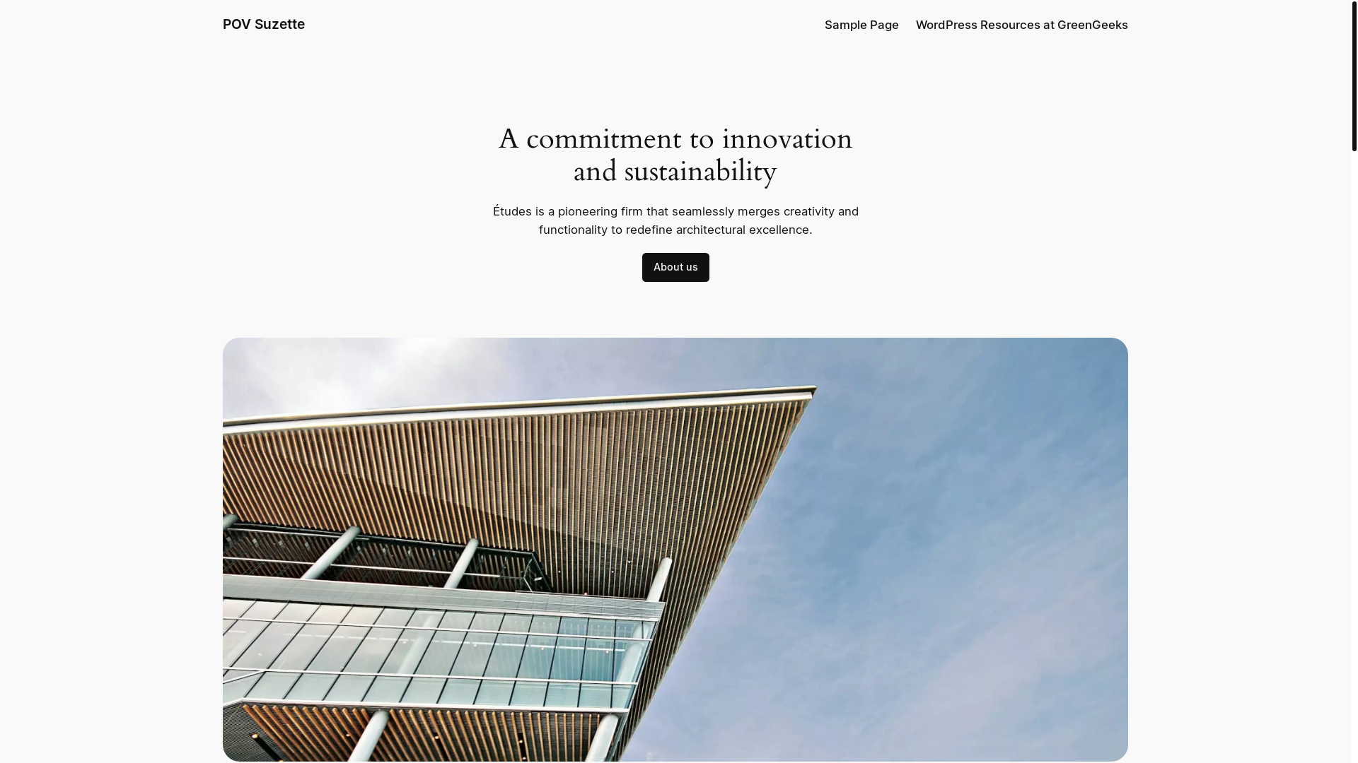 website screenshot of https://povsuzette.com/