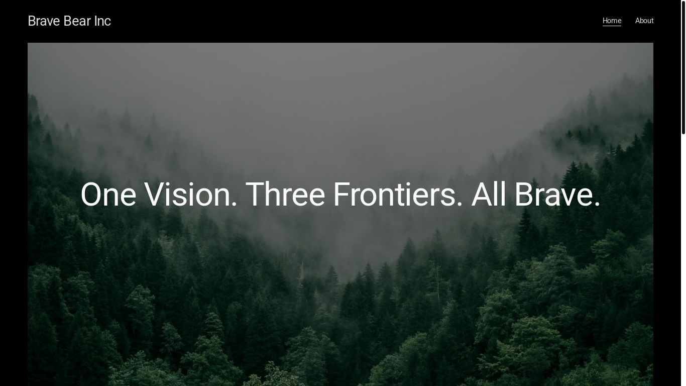 website screenshot of https://bravebearinc.com/