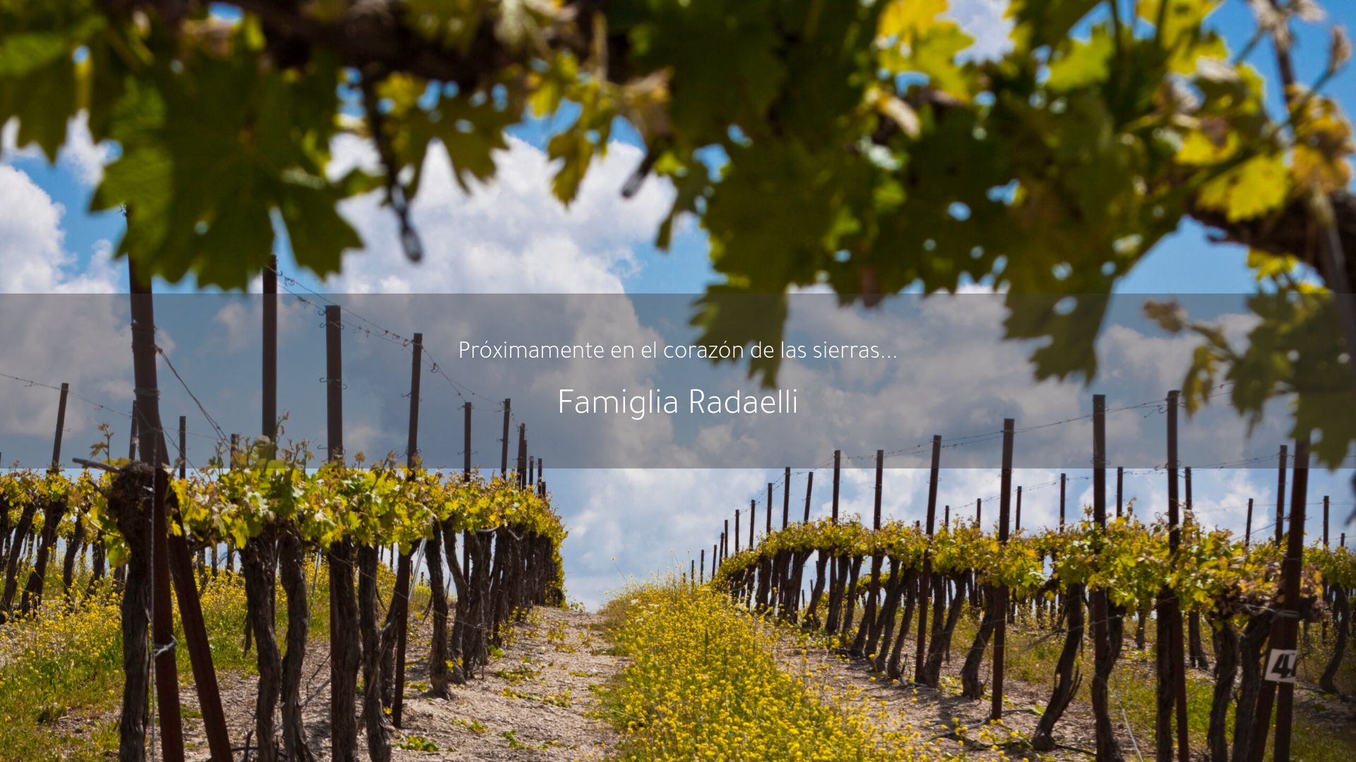 website screenshot of https://famigliaradaelli.com.uy/