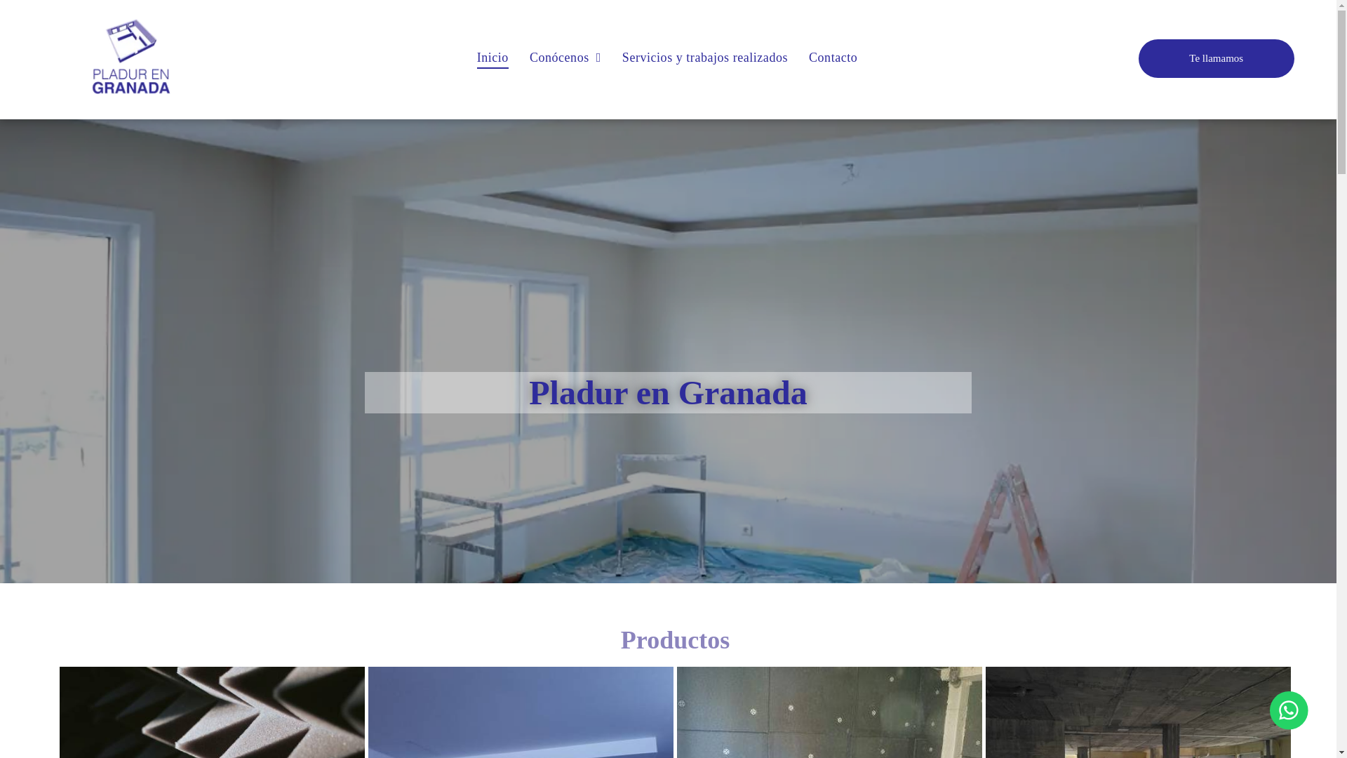 website screenshot of https://pladufergranada.es/