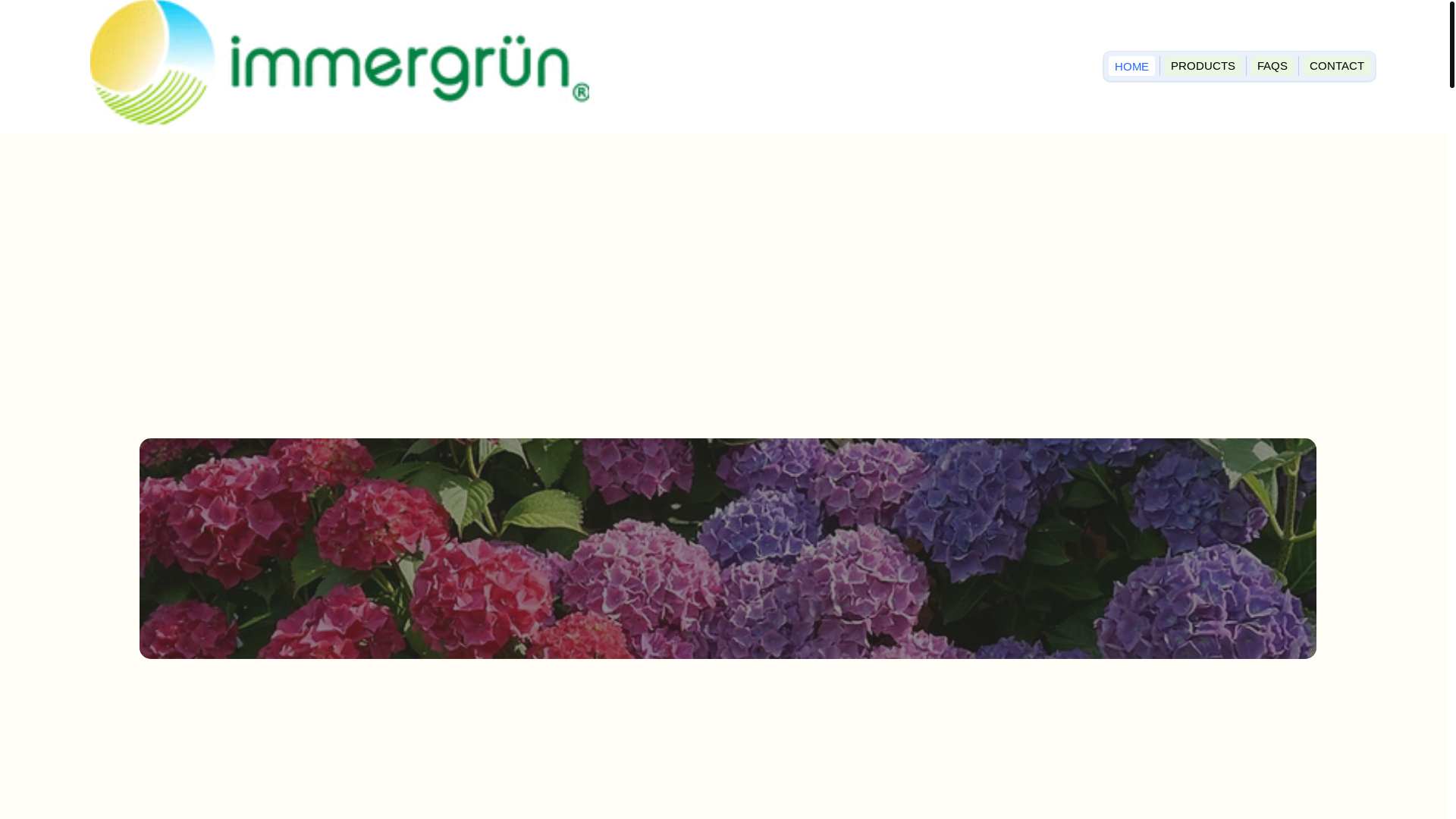 website screenshot of https://immergrunus.com/