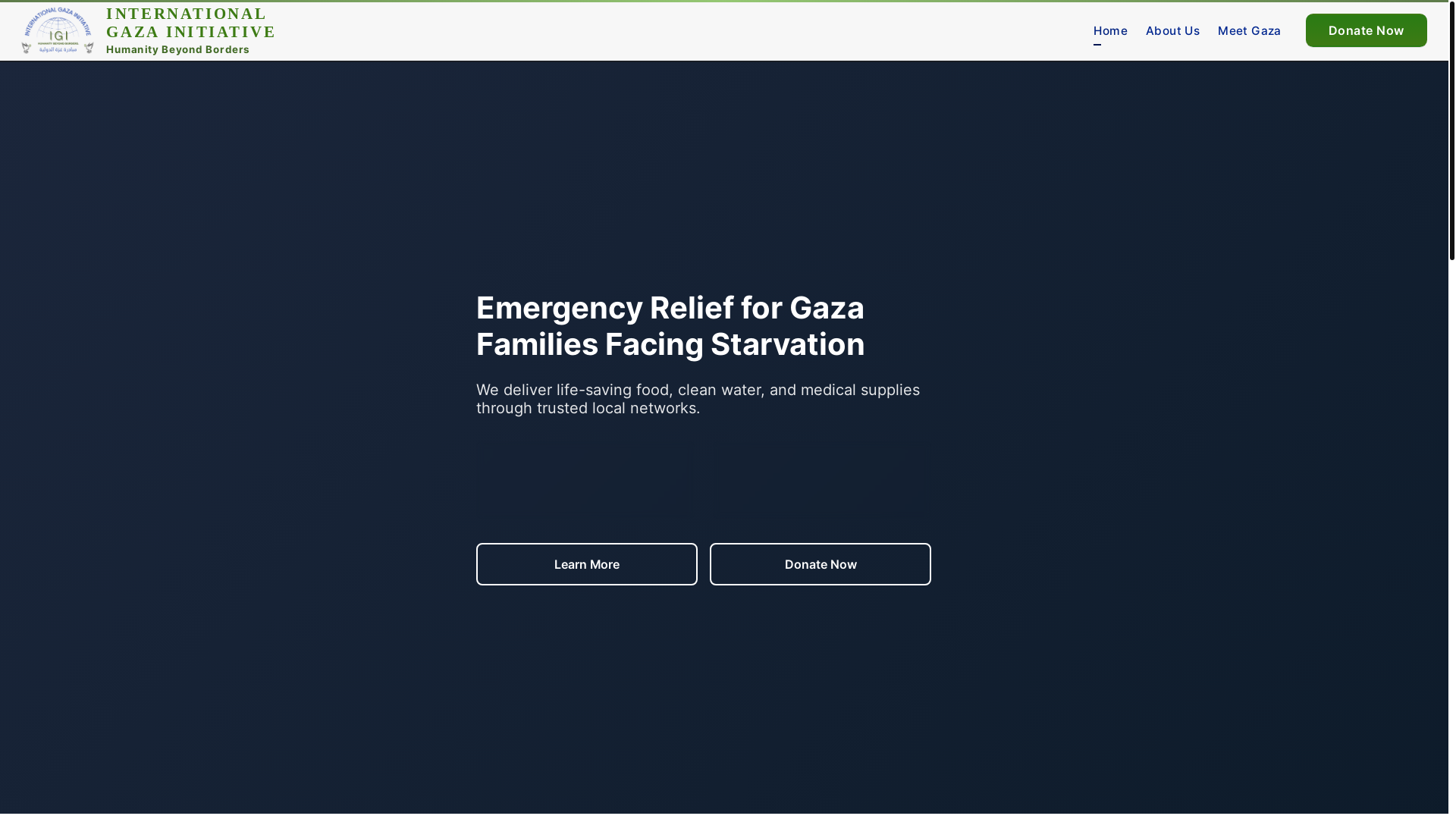 website screenshot of https://igirelief.org/