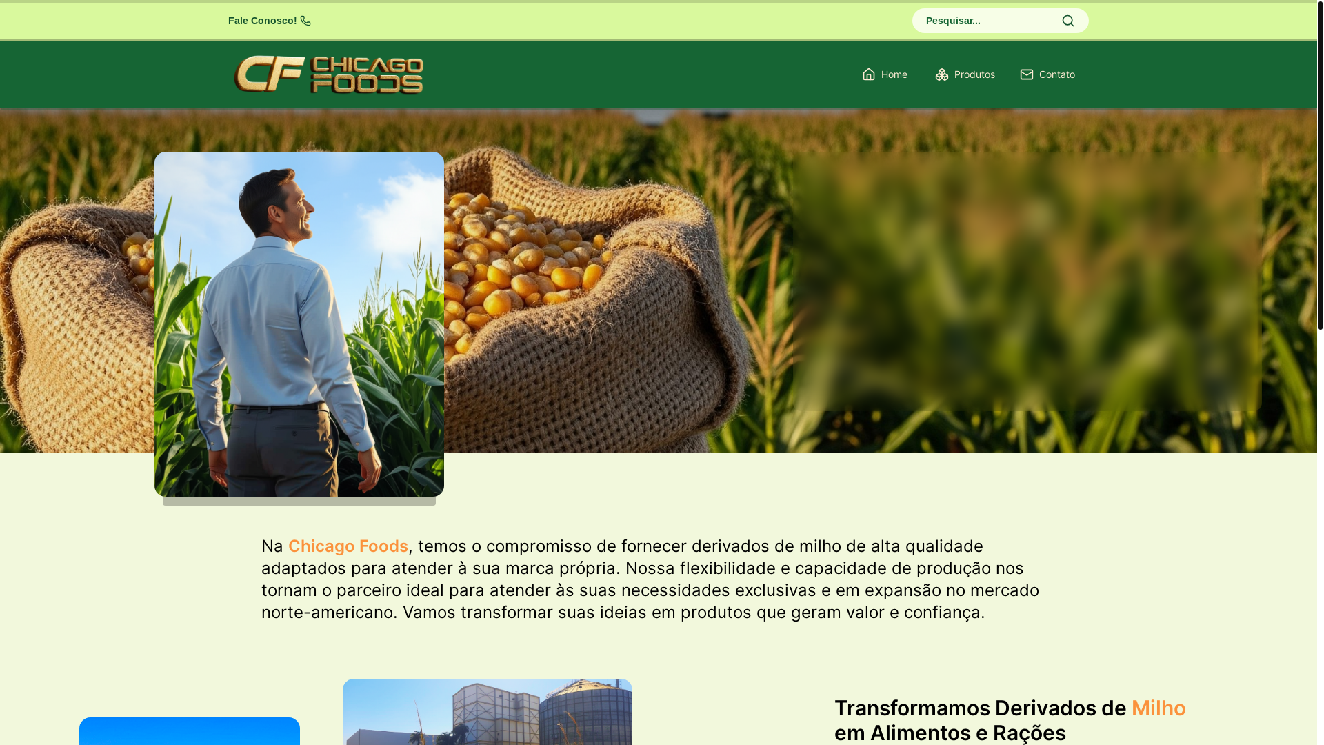 website screenshot of https://chicagofoods.com.br/