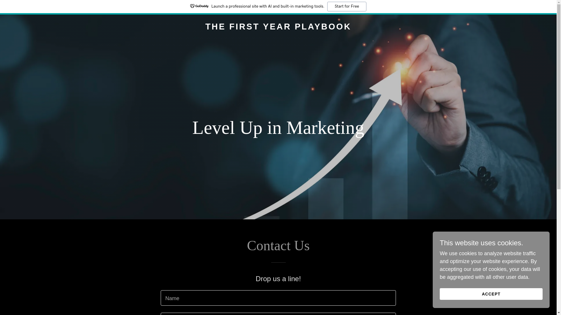website screenshot of https://levelupinmarketing.com/