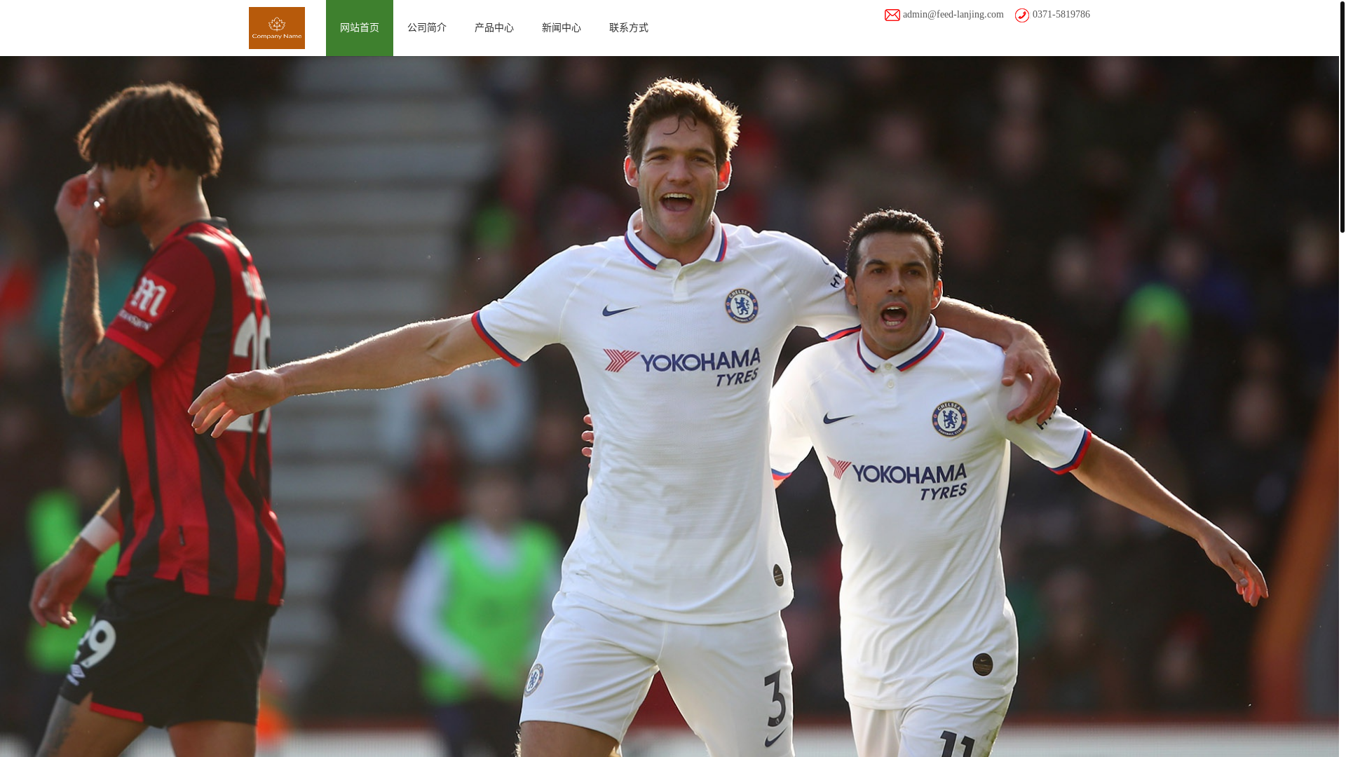website screenshot of https://feed-lanjing.com/