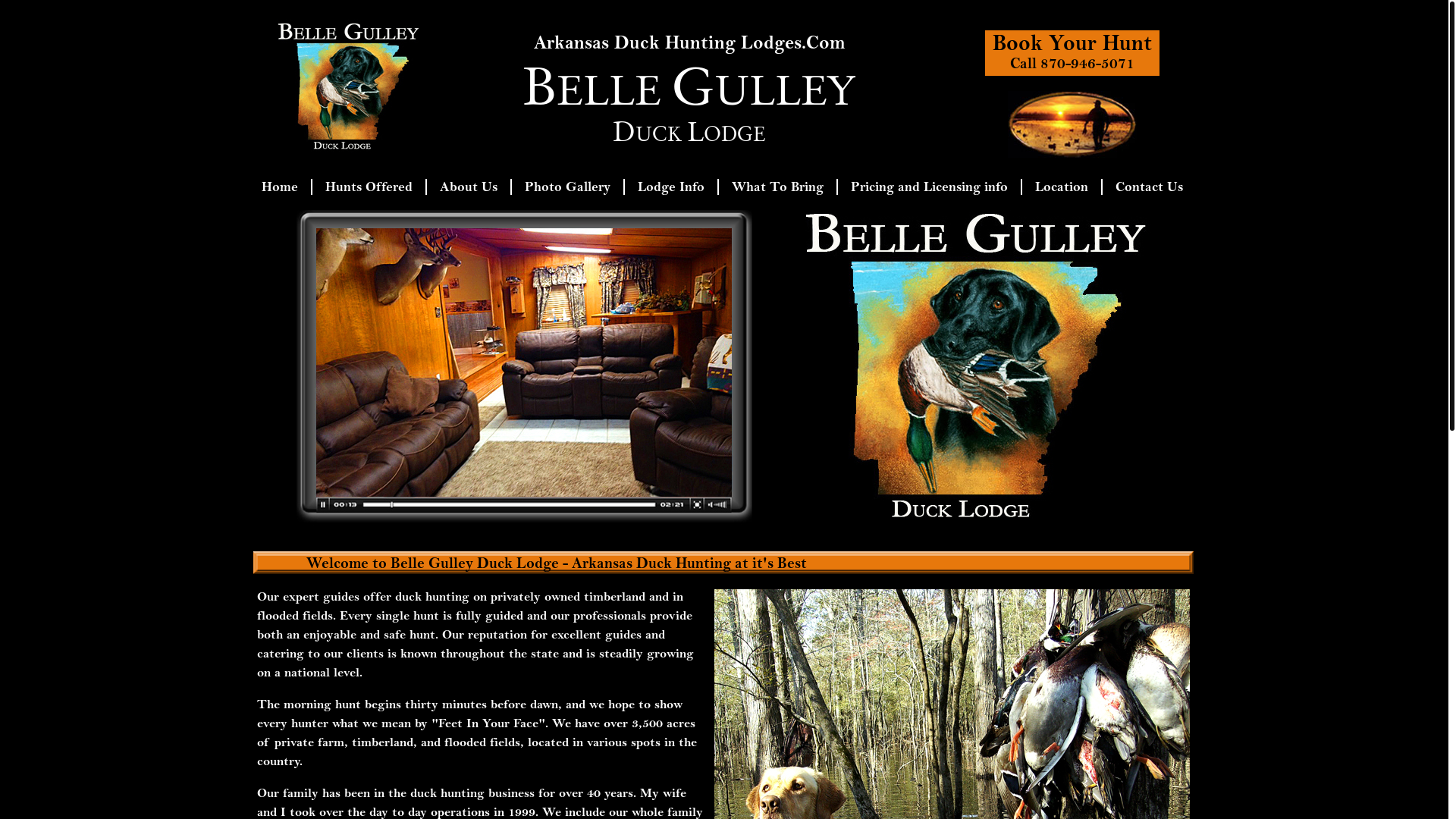 website screenshot of https://idmprosilver.us/