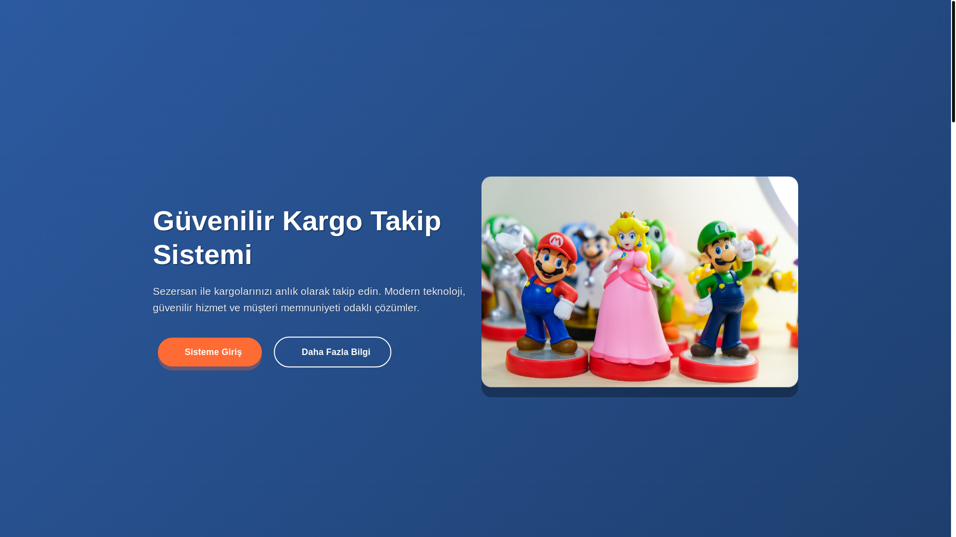 website screenshot of https://tracksezersan.com/