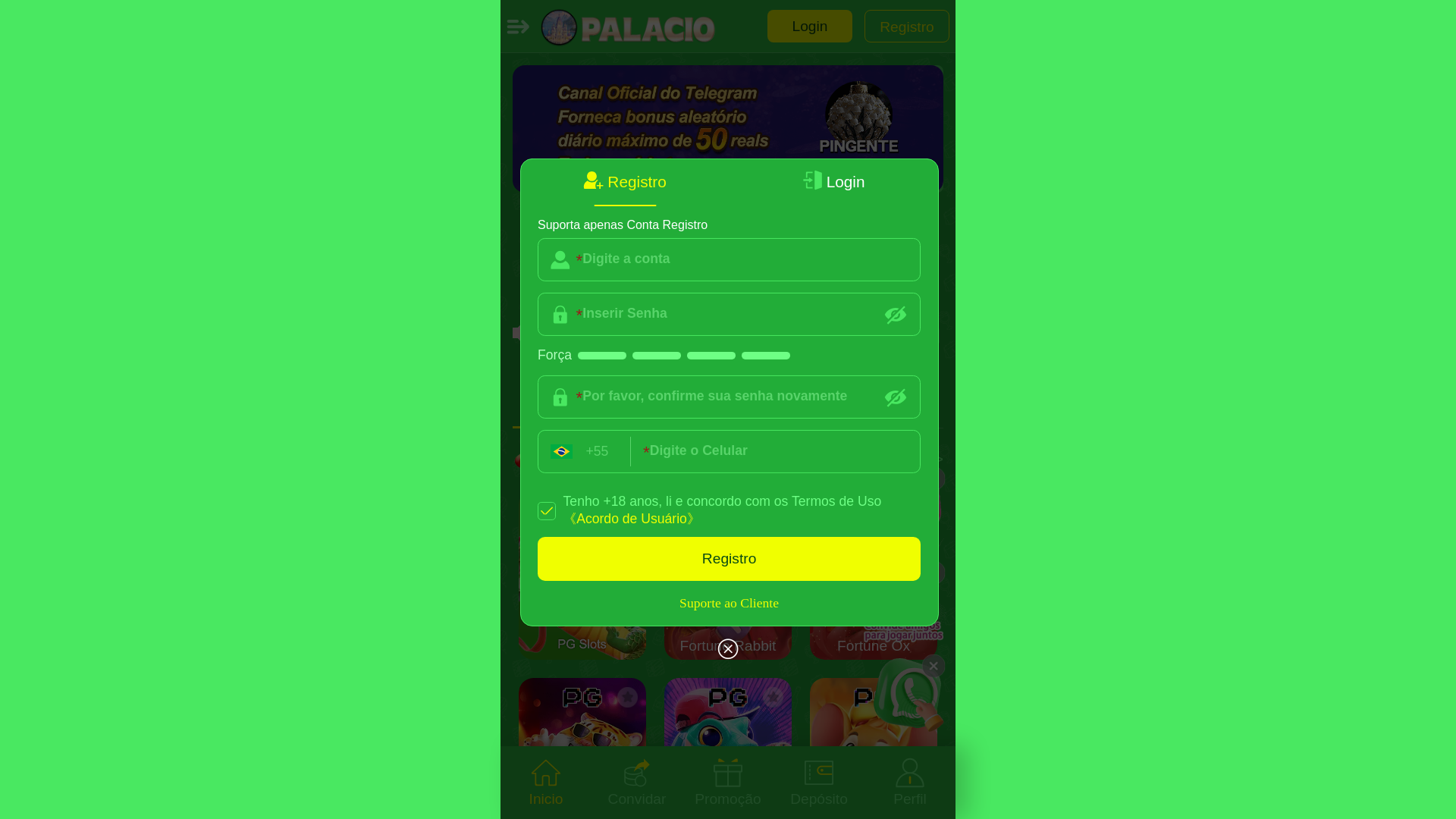 website screenshot of https://palacio.bet/